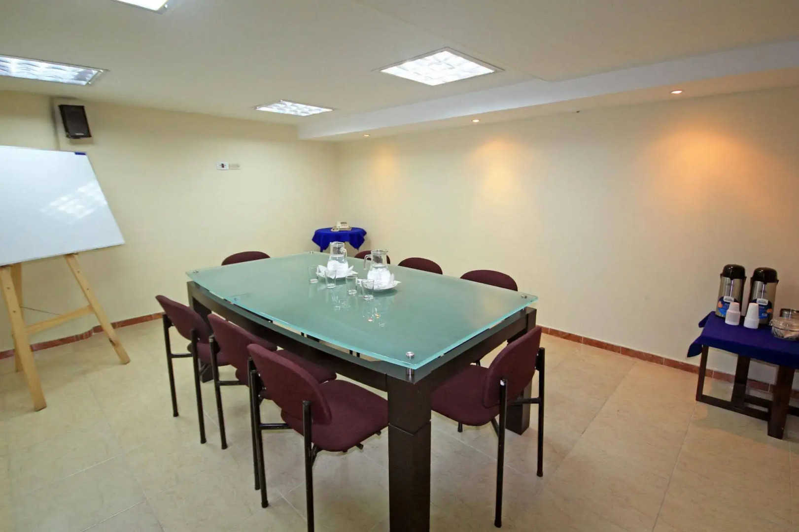 Hotel Plaza Versalles