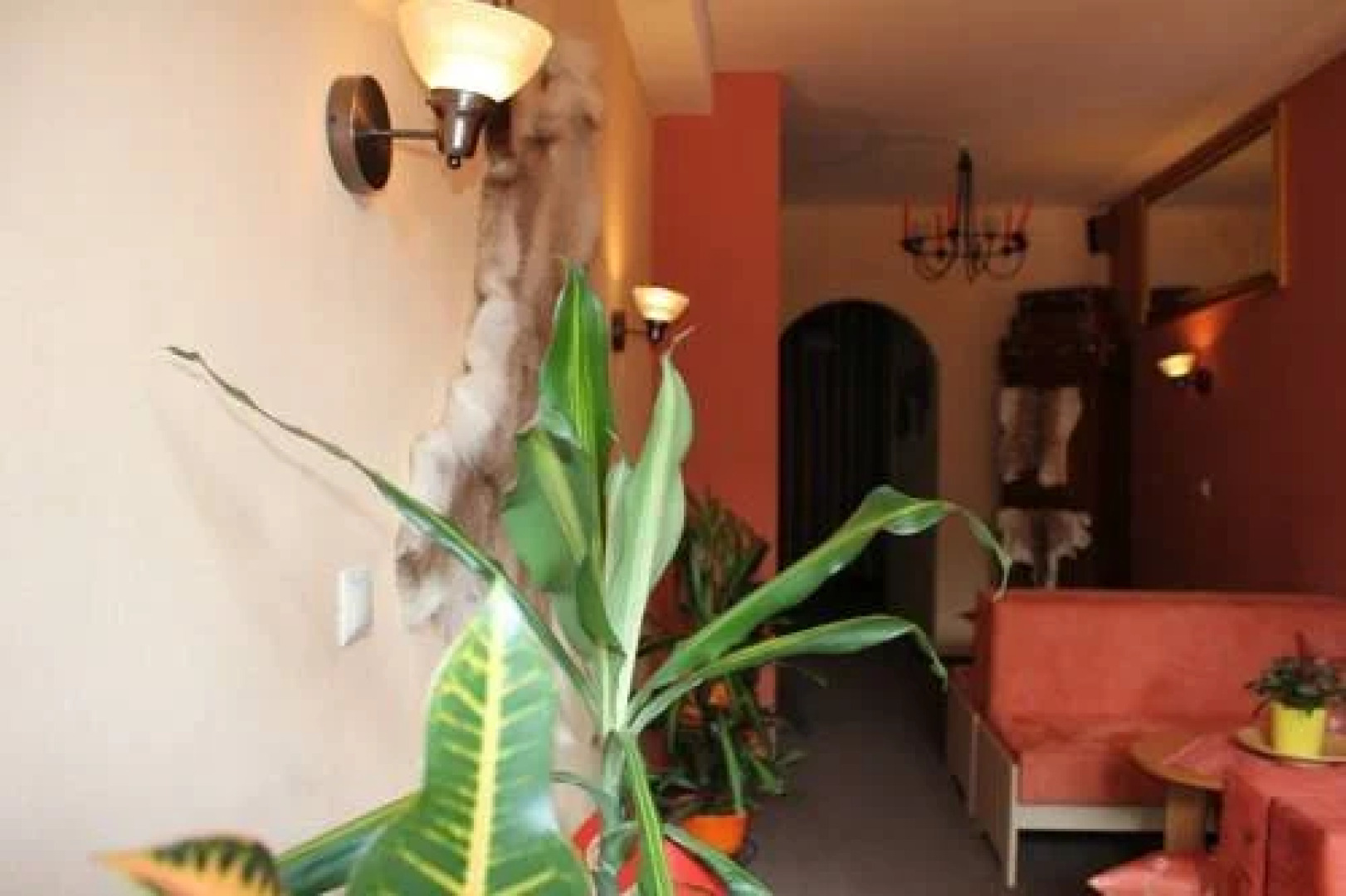 Horský Hotel Minciar