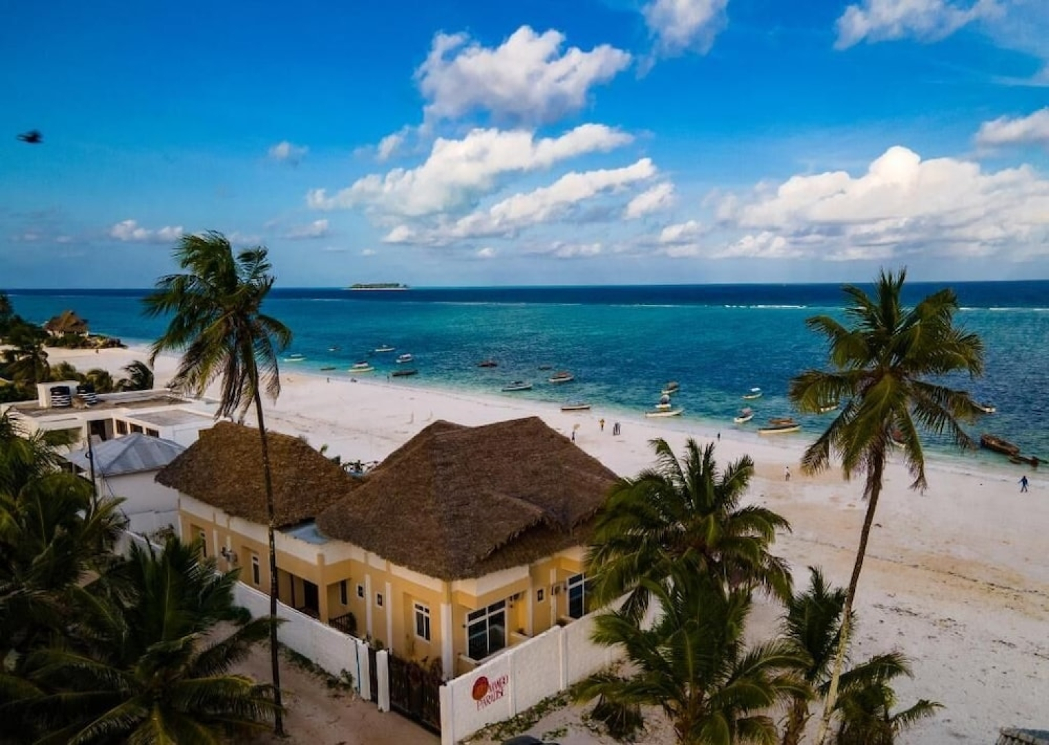 Mambo Paradise