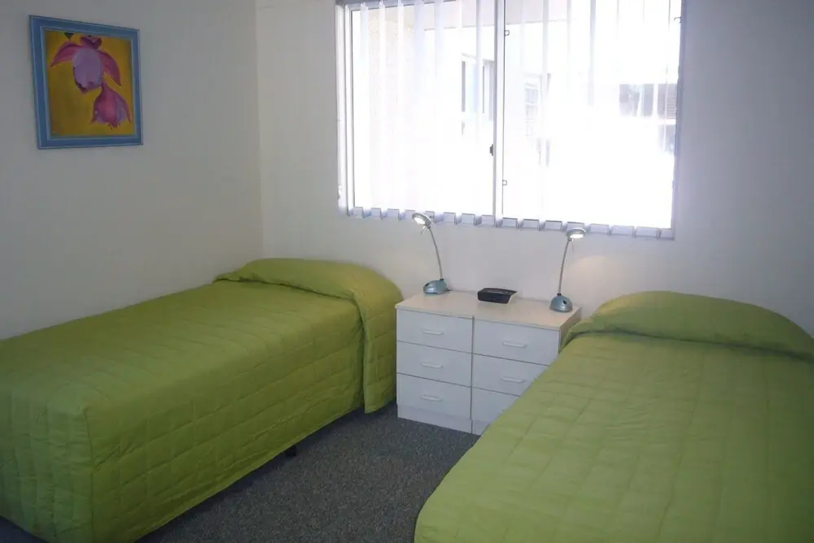 Boronia Headland - Sawtell, NSW