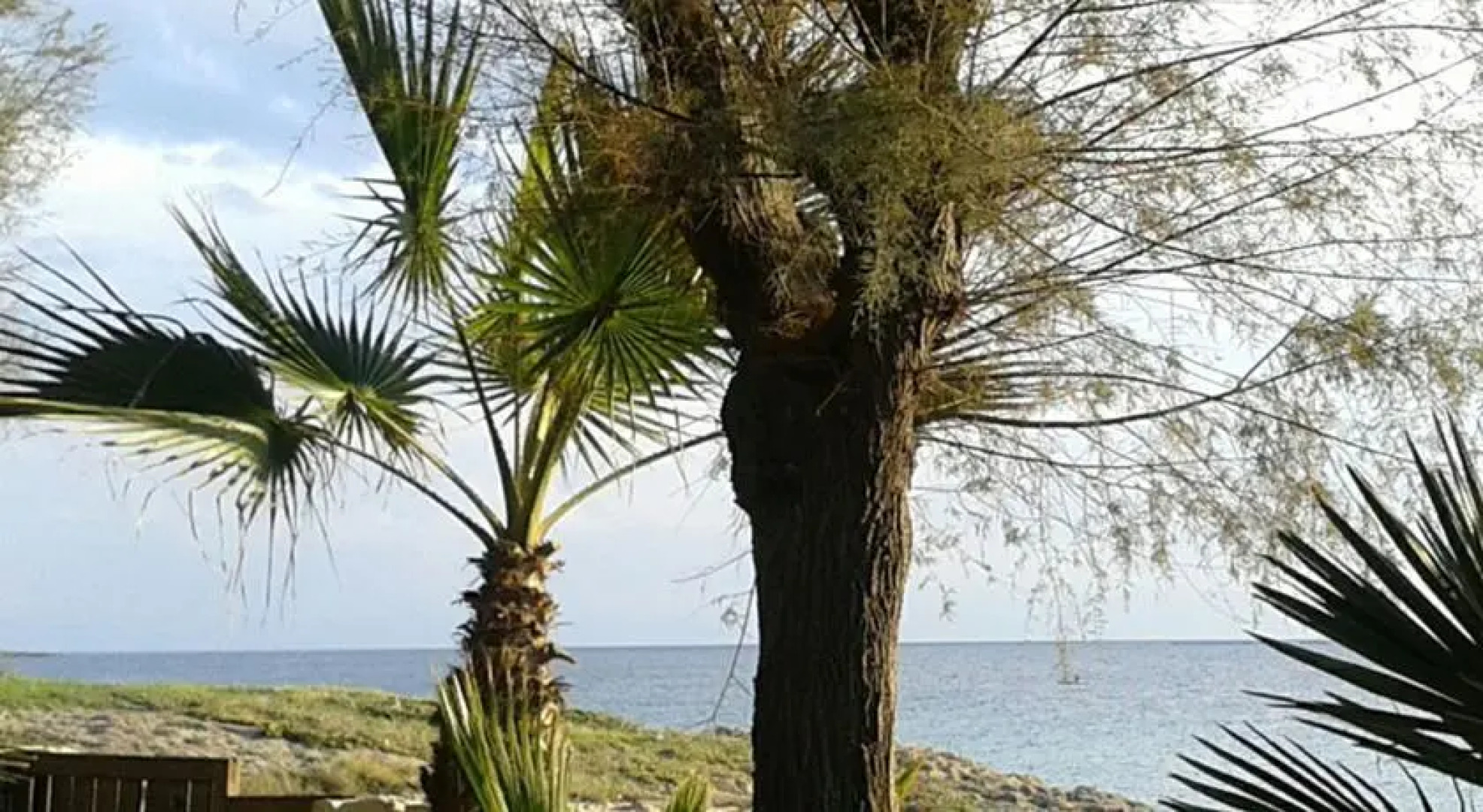 Dependance in Villa Fronte Spiaggia