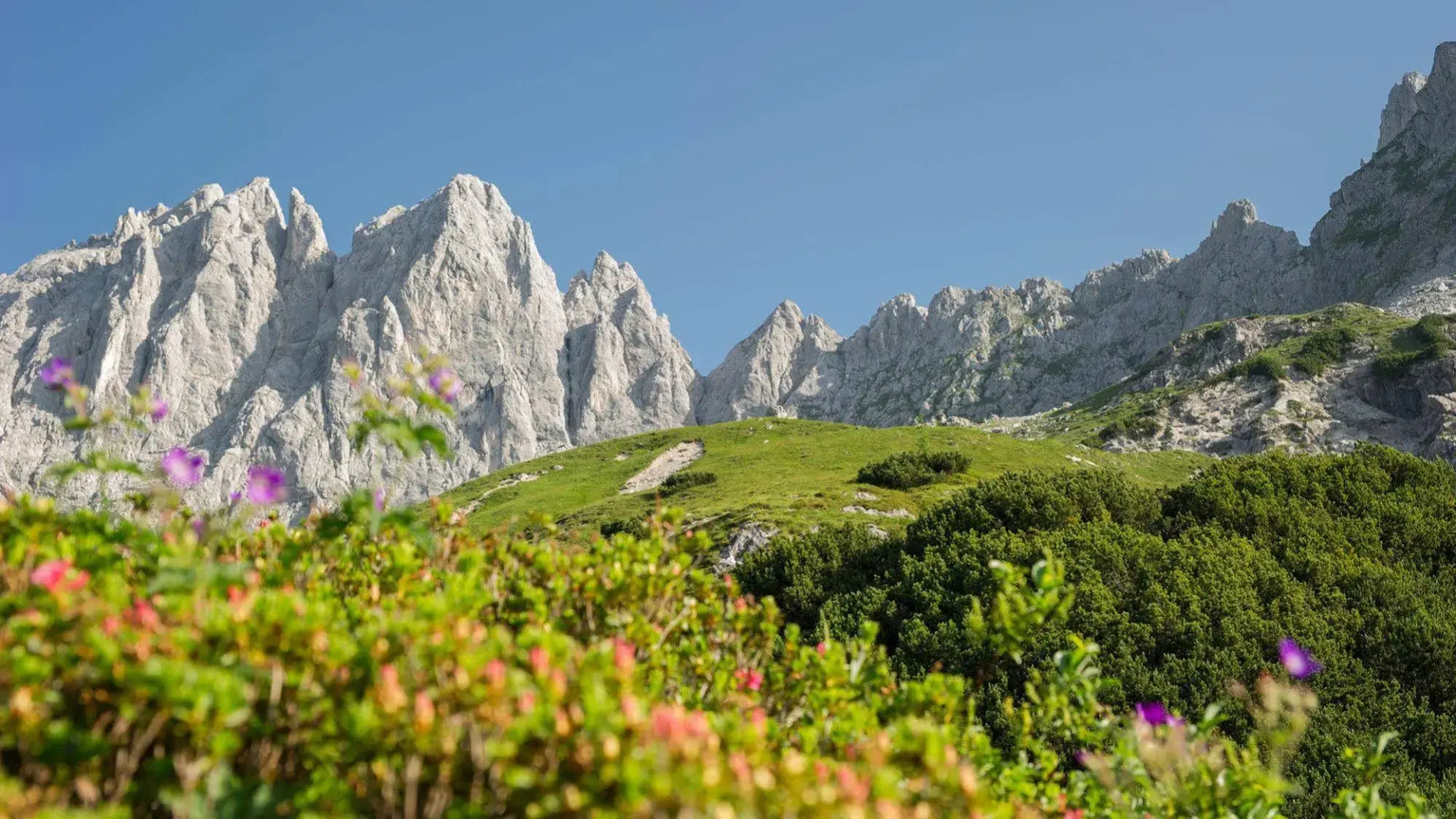 Landhotel Föhrenhof Ellmau