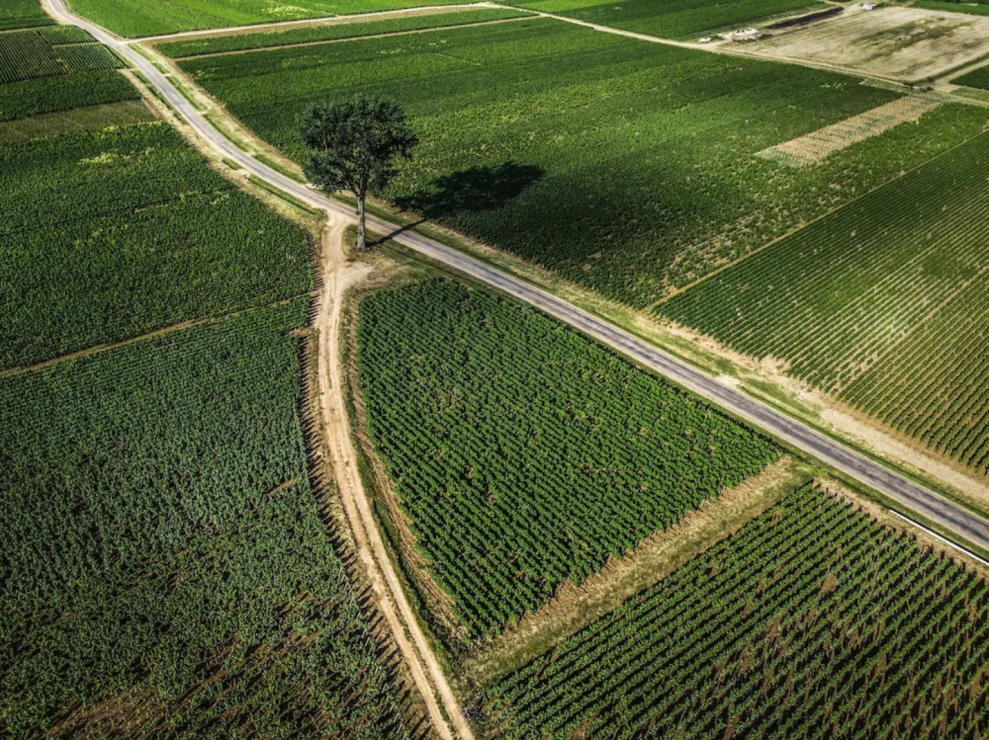 Château Armand Heitz