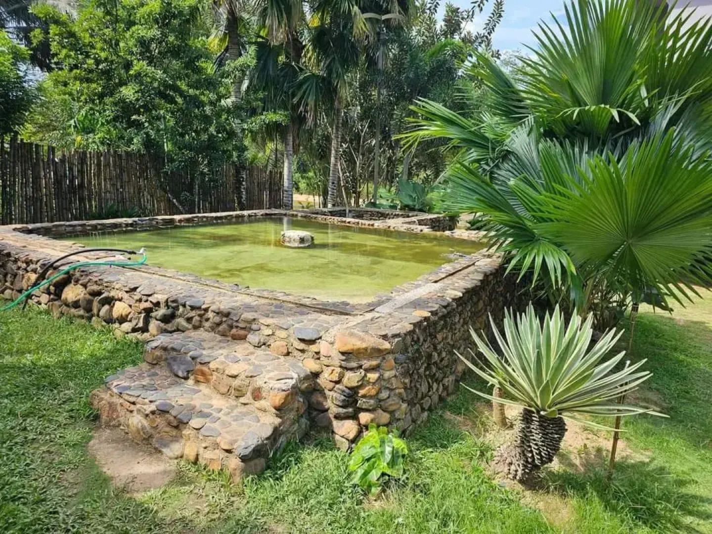 Riverside Palm Inn Sg Lembing