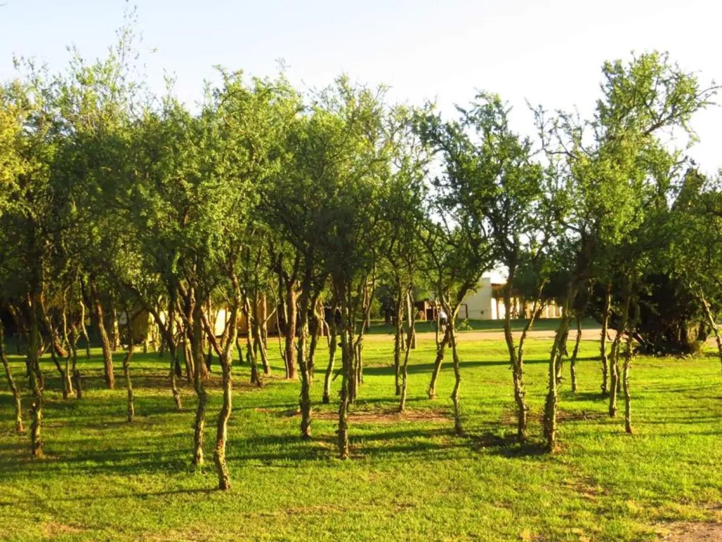 La Catalina Suites de Campo