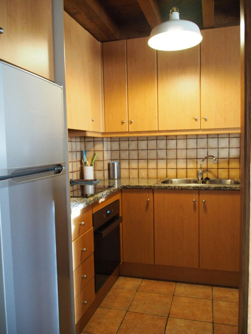 DESCONNECTAR - Bellver de Cerdanya I