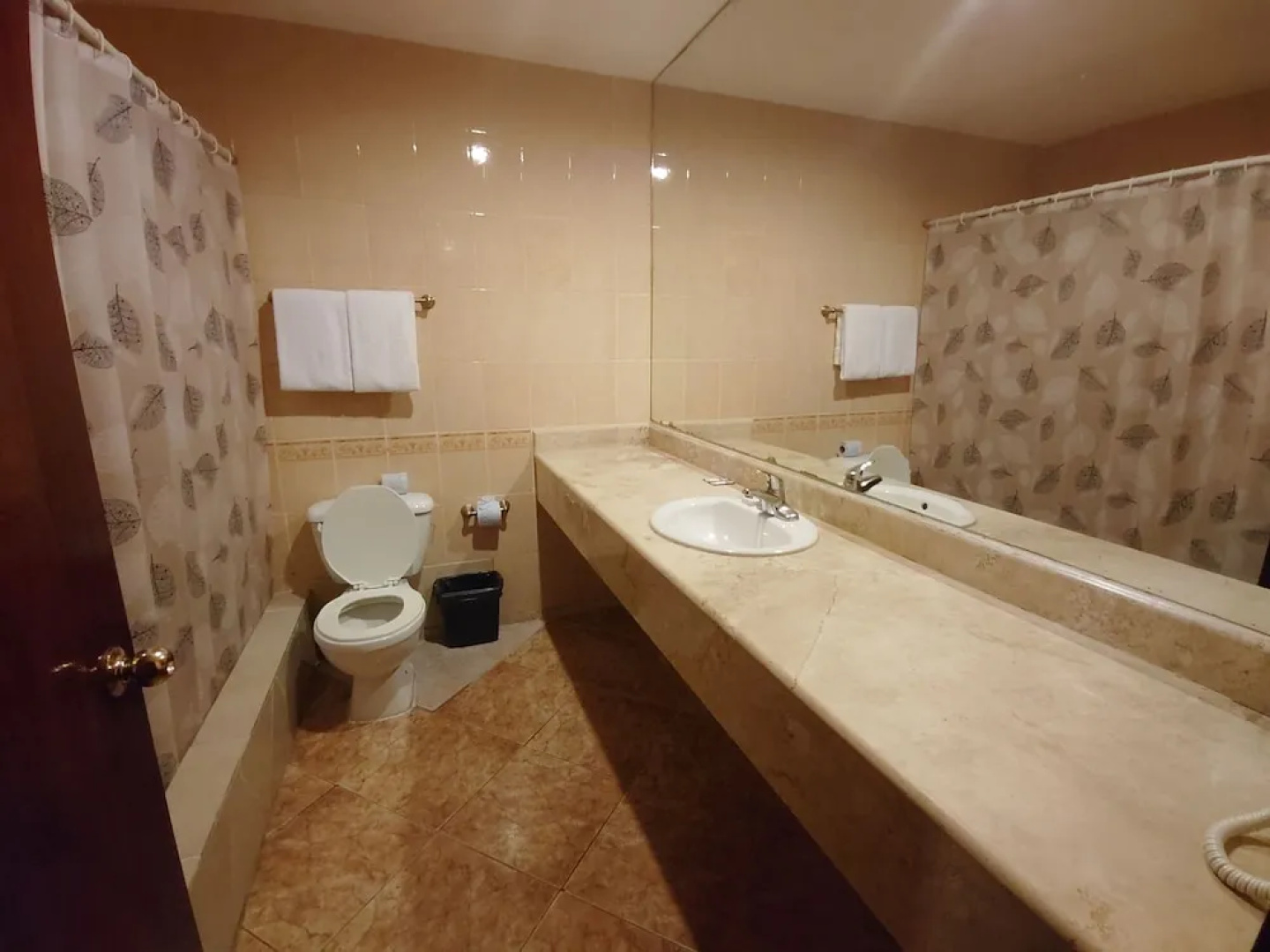 Princess Hotel and Casino Free Zone