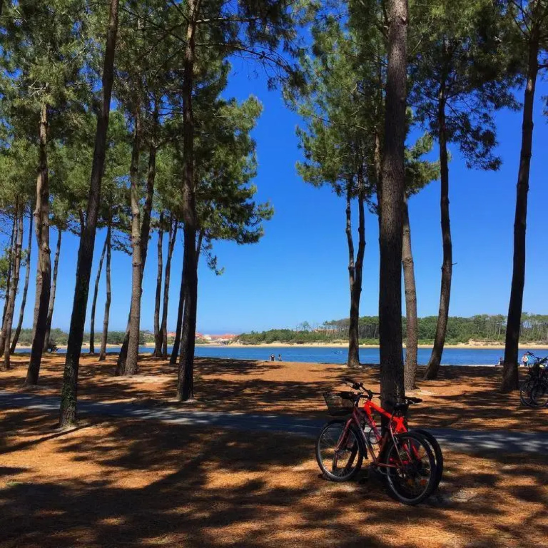 VILLA CASA KOKO 10 PERS piscine chauffée, pétanque, ping pong VIEUX-BOUCAU