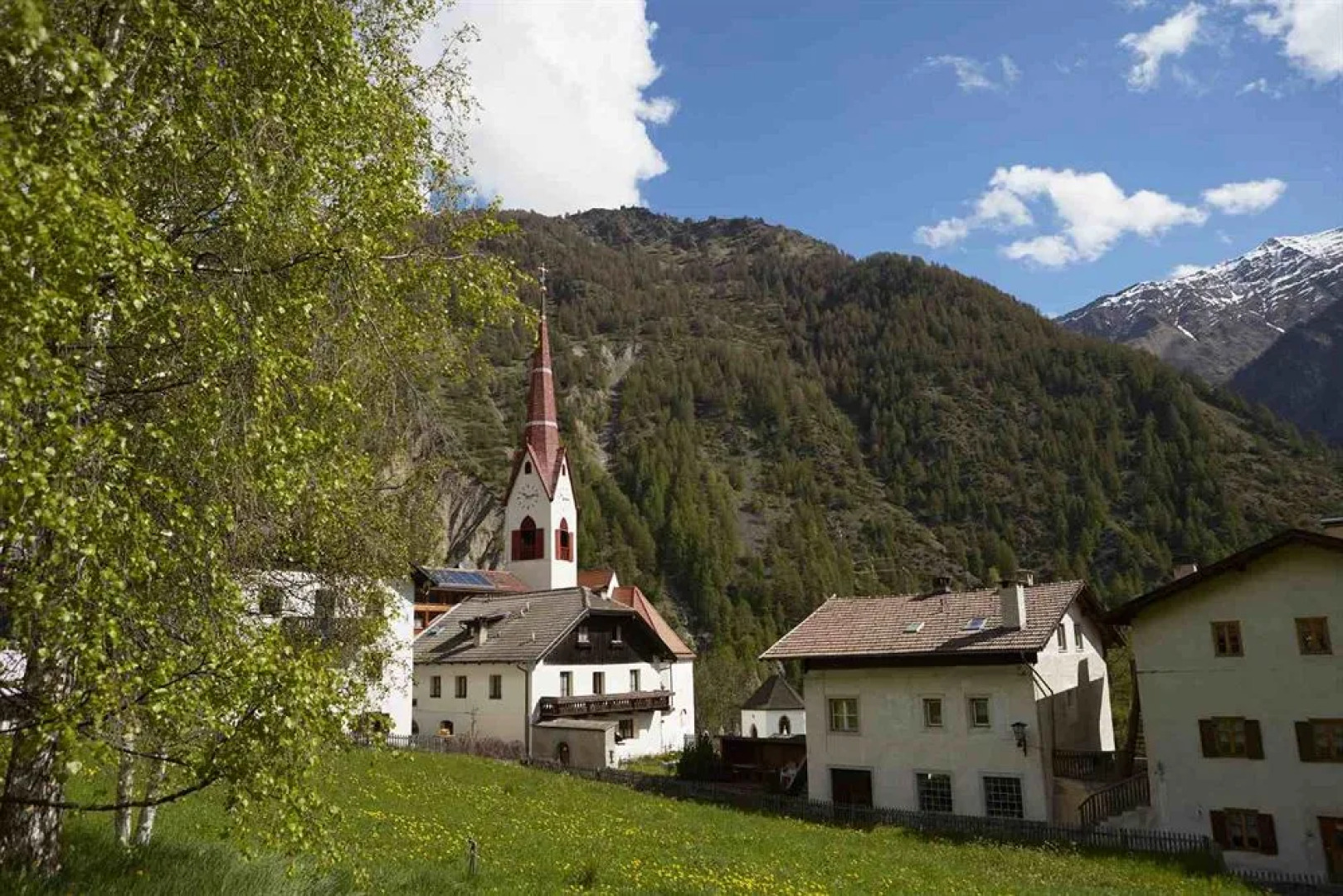 Goldene Rose Karthaus