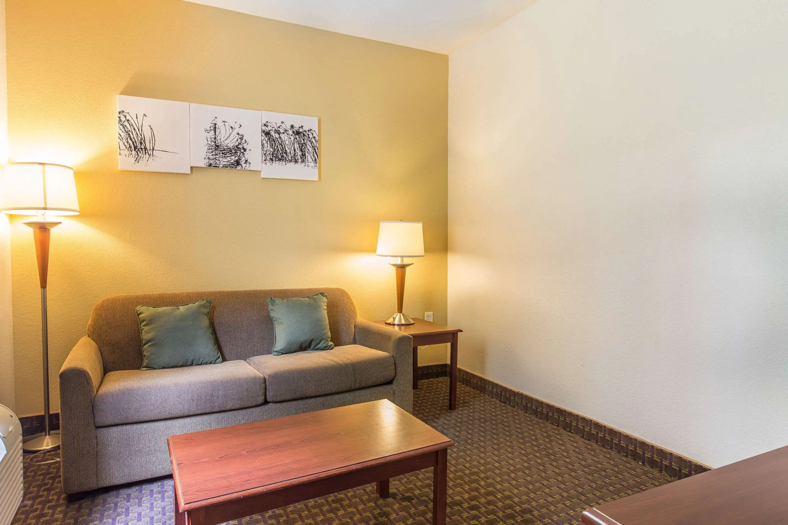 Sleep Inn and Suites at Kennesaw State University