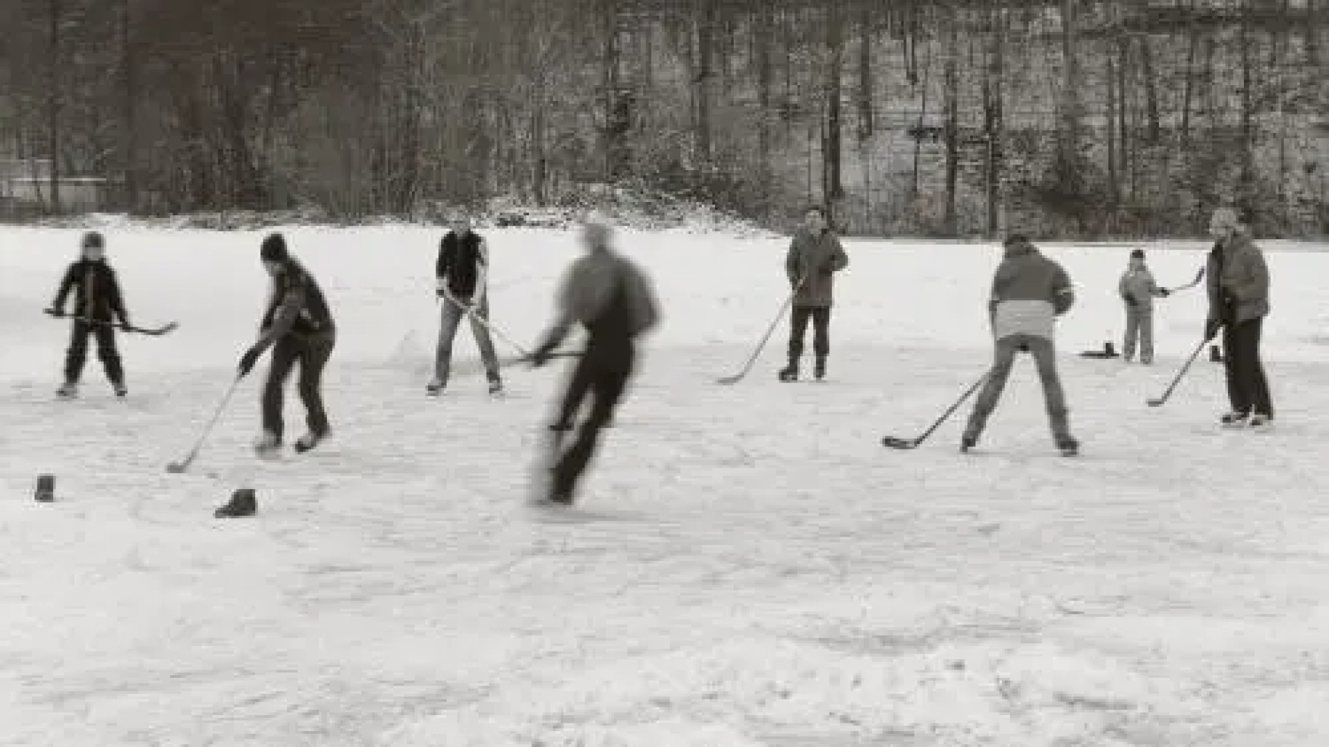 Seegasthof Franz Bolz GBR