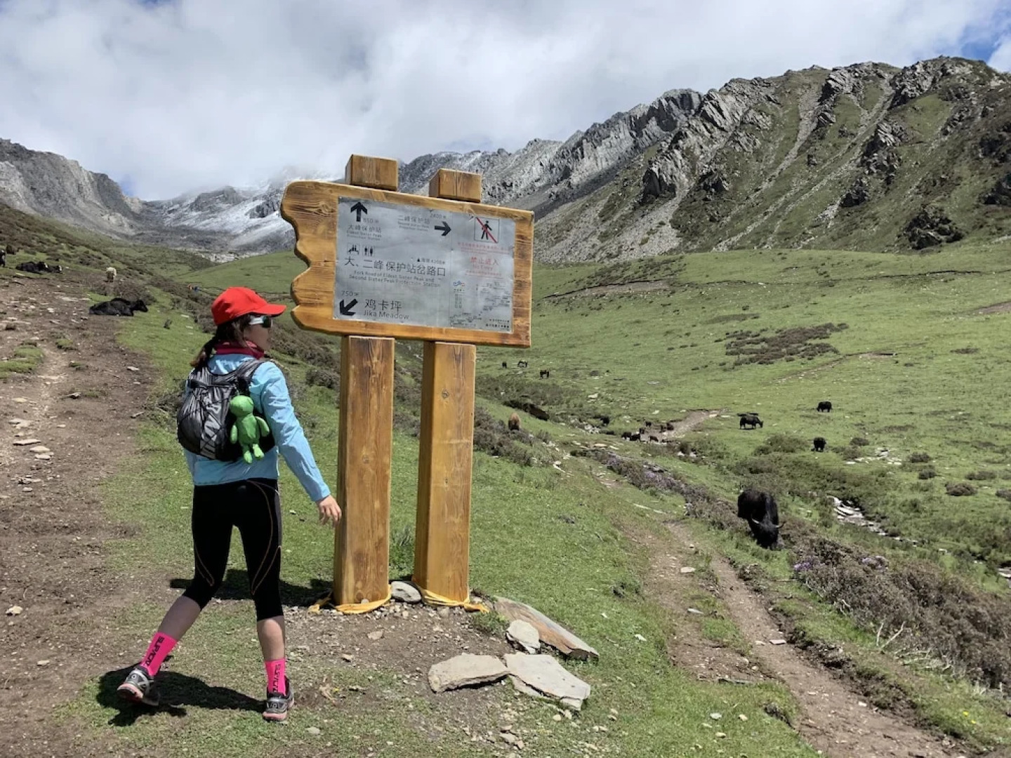 Sound of The Mountain