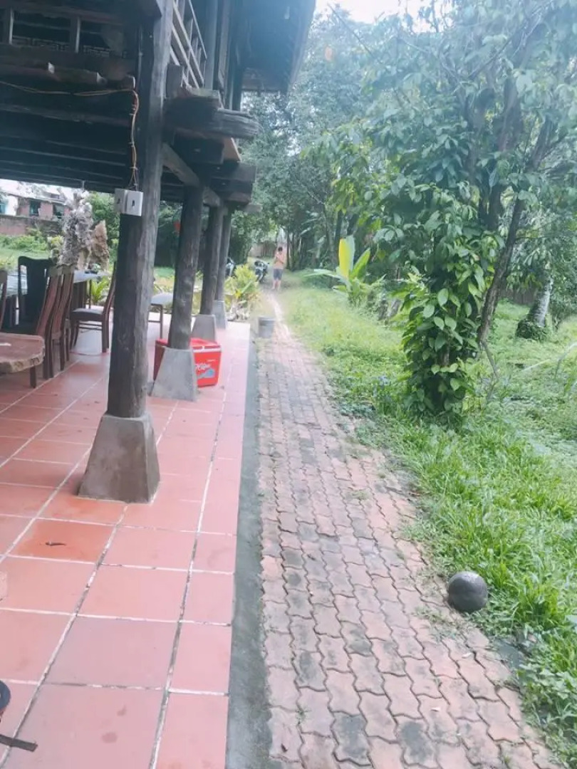 Vuon Thu Guest House Garden