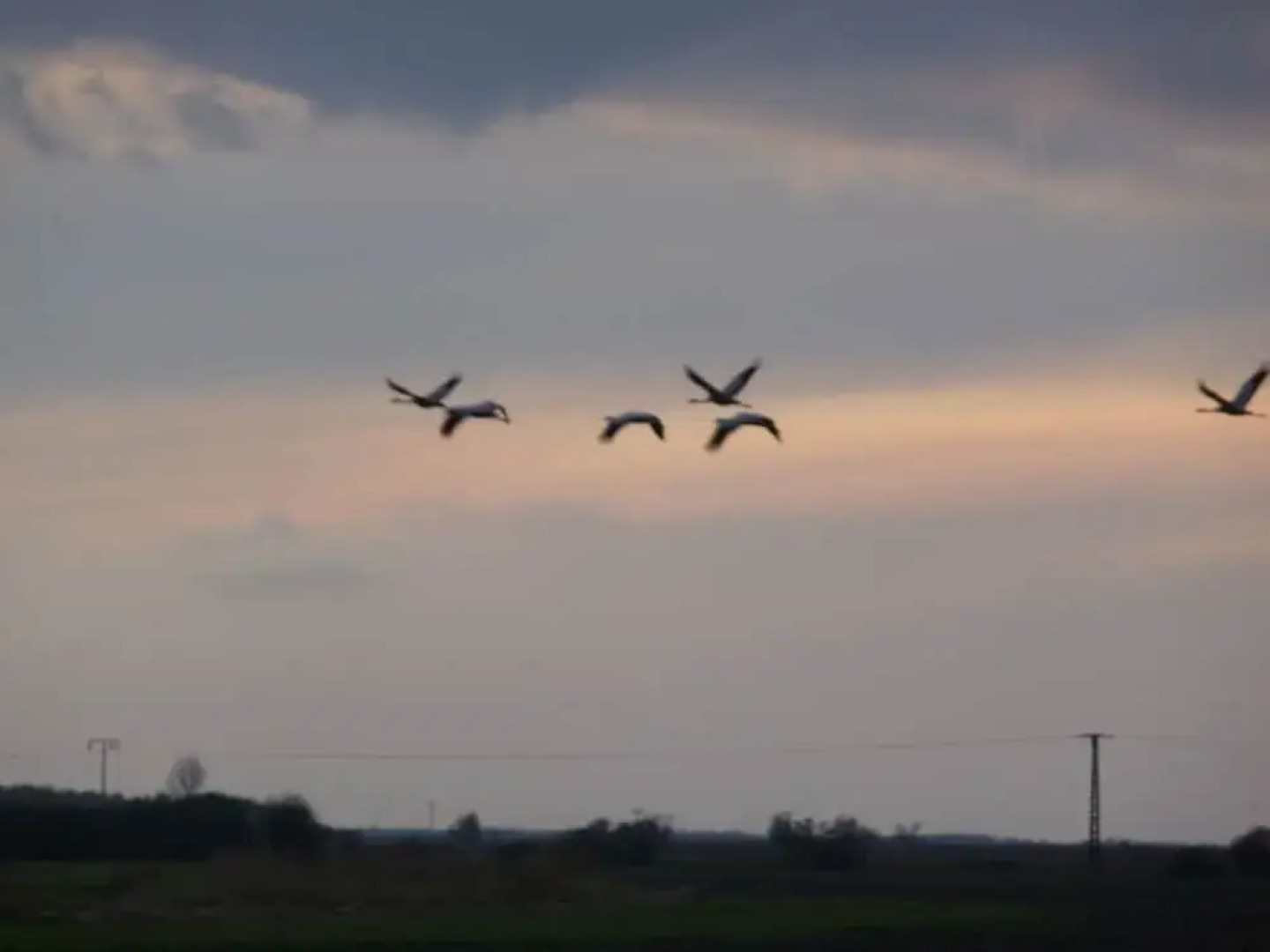 Studio House on Hof Jumne