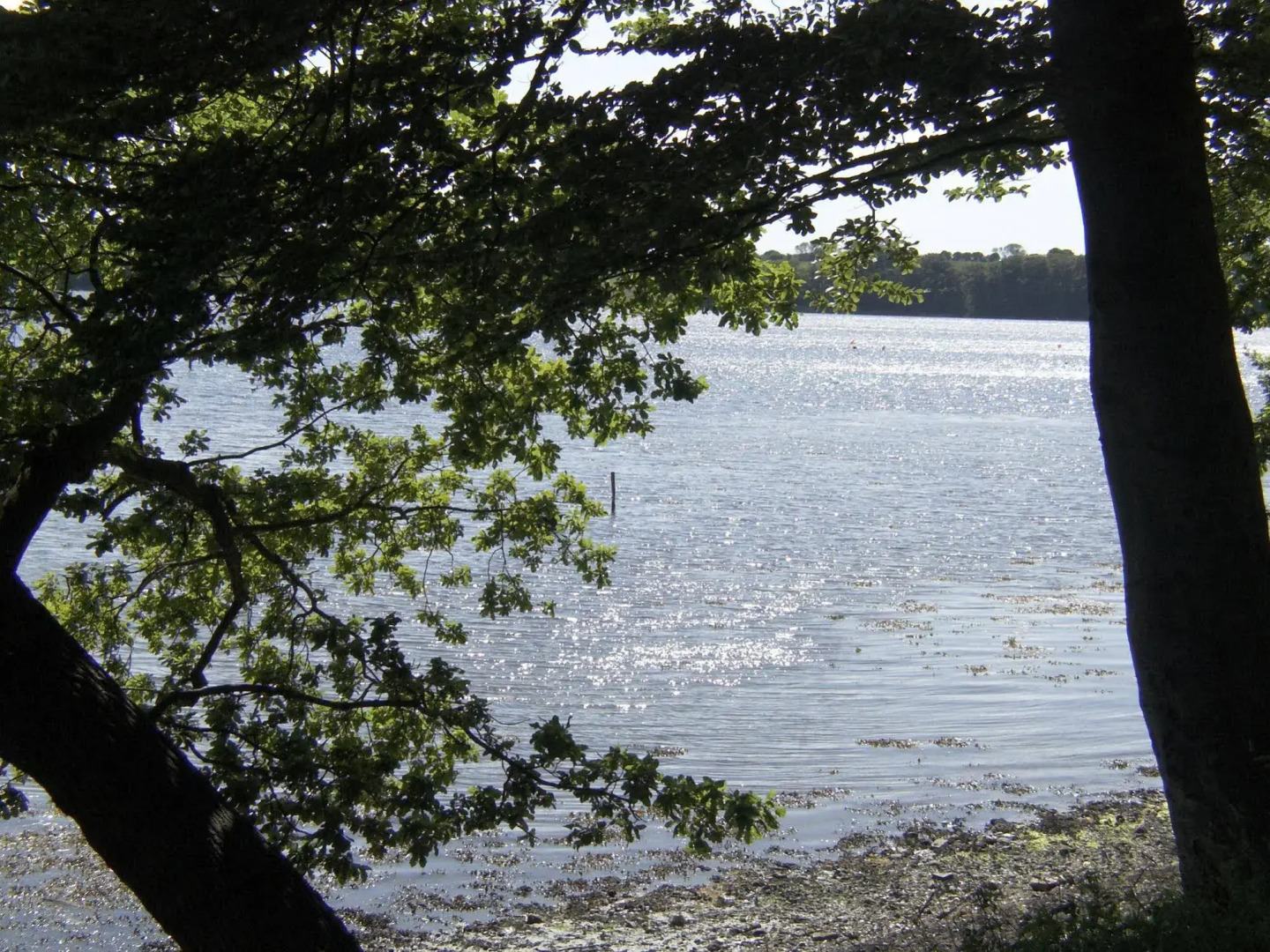 Sixtus Sinatur Hotel og Konference