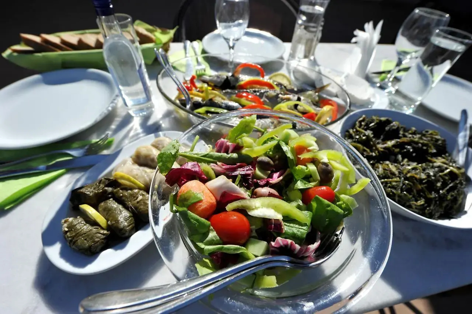 Gera's Olive Grove