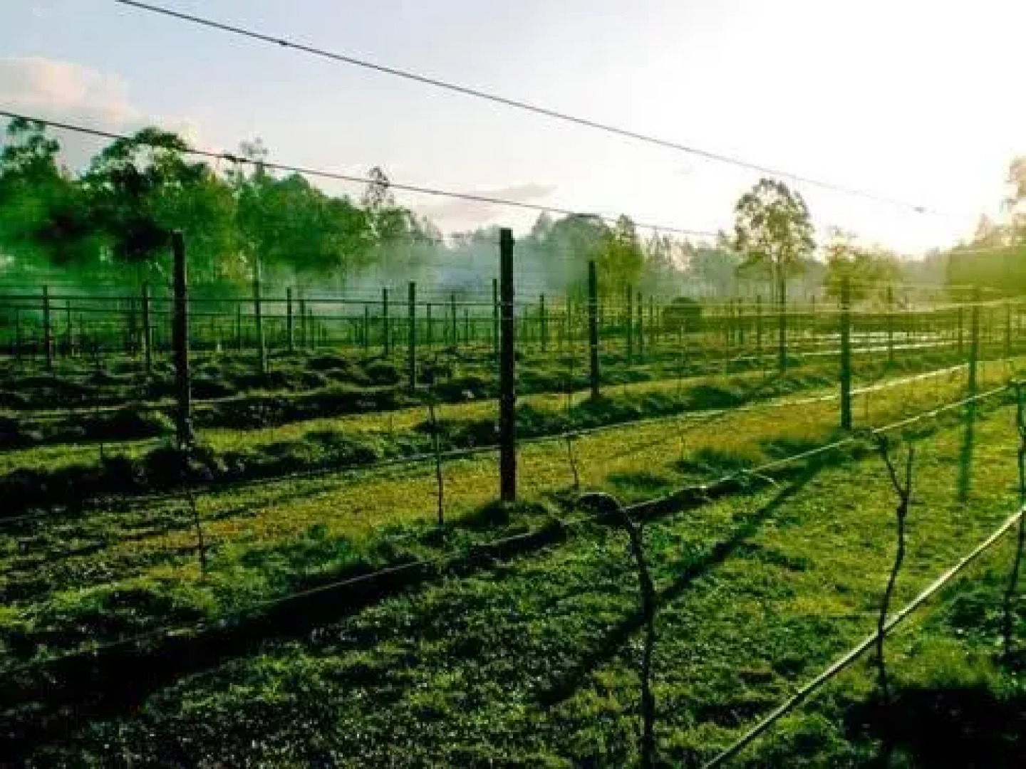 Hunter Country Lodge