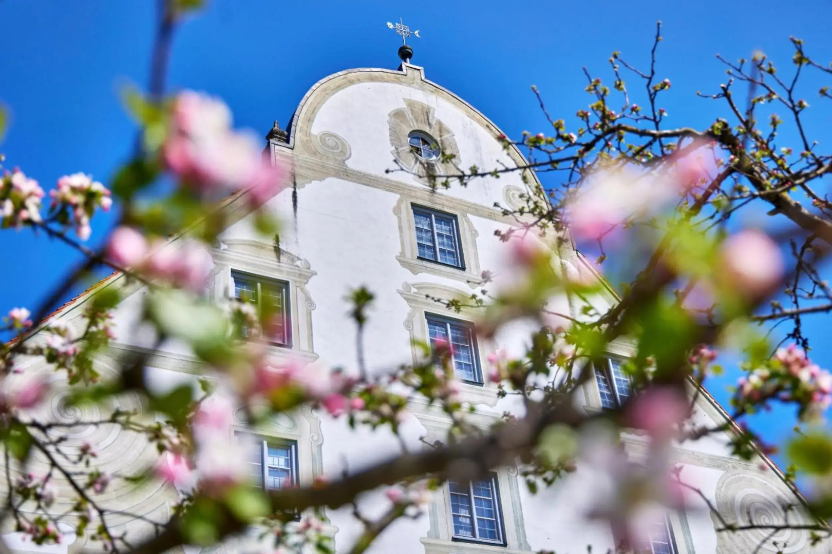 Zentrum für Umwelt und Kultur - Gästehaus und Jugendbildungseinrichtung im Maierhof