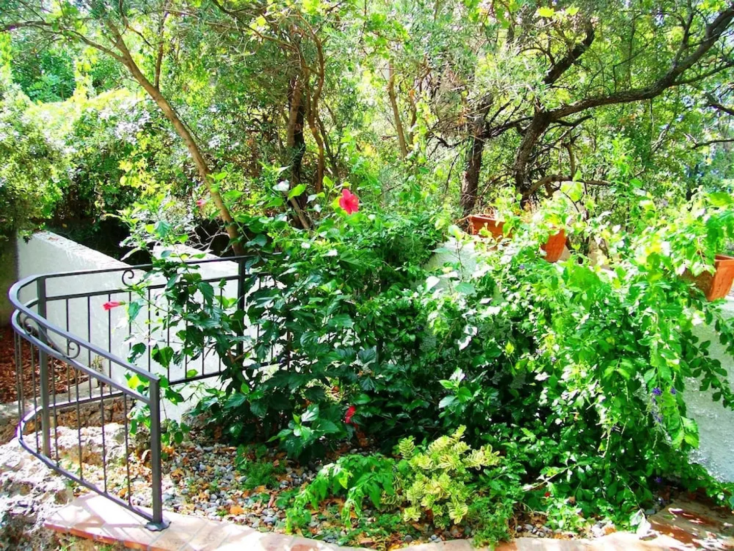 B&B La Casa Del Gelso