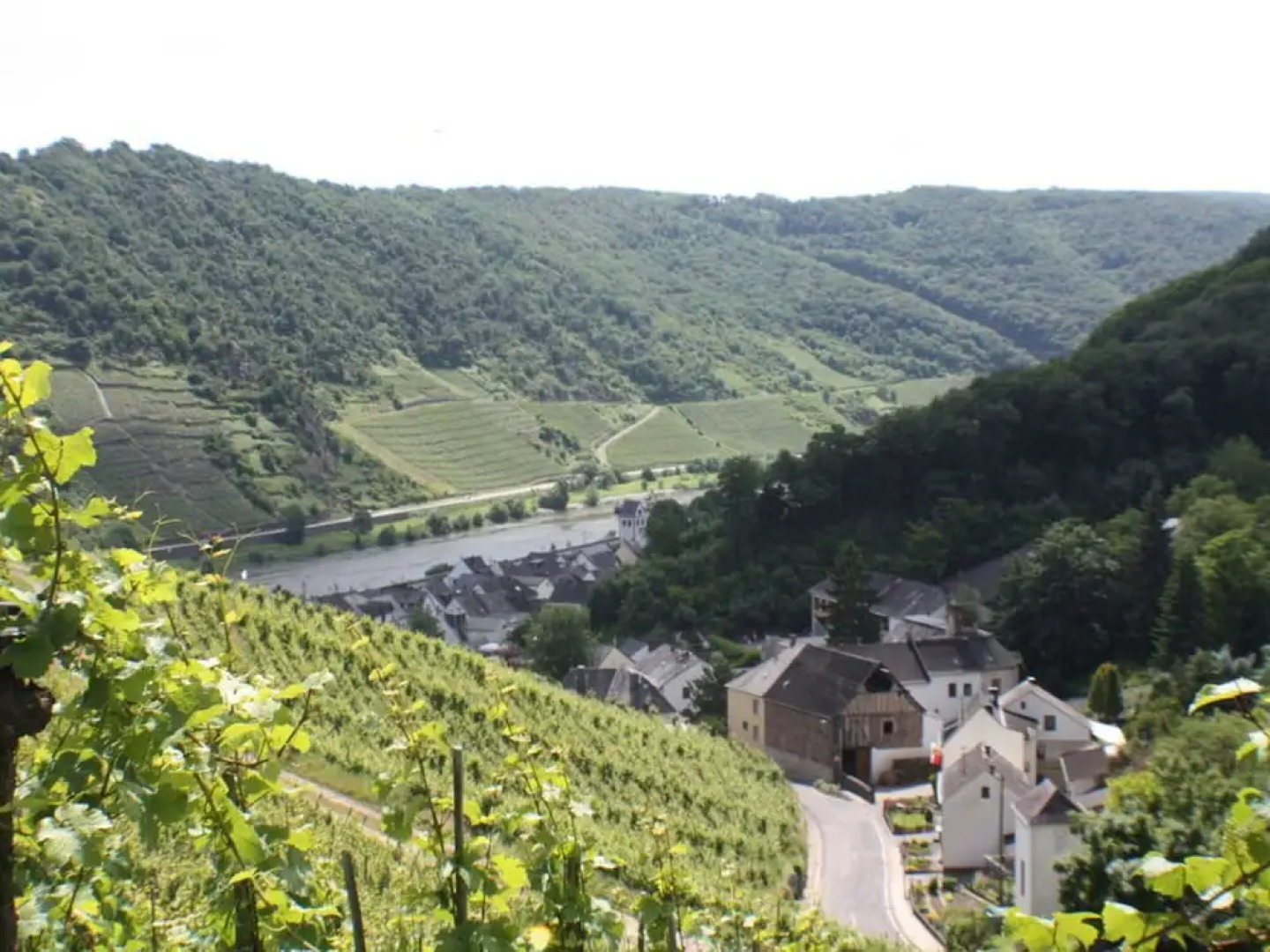 The Moselle Gate to Koblenz