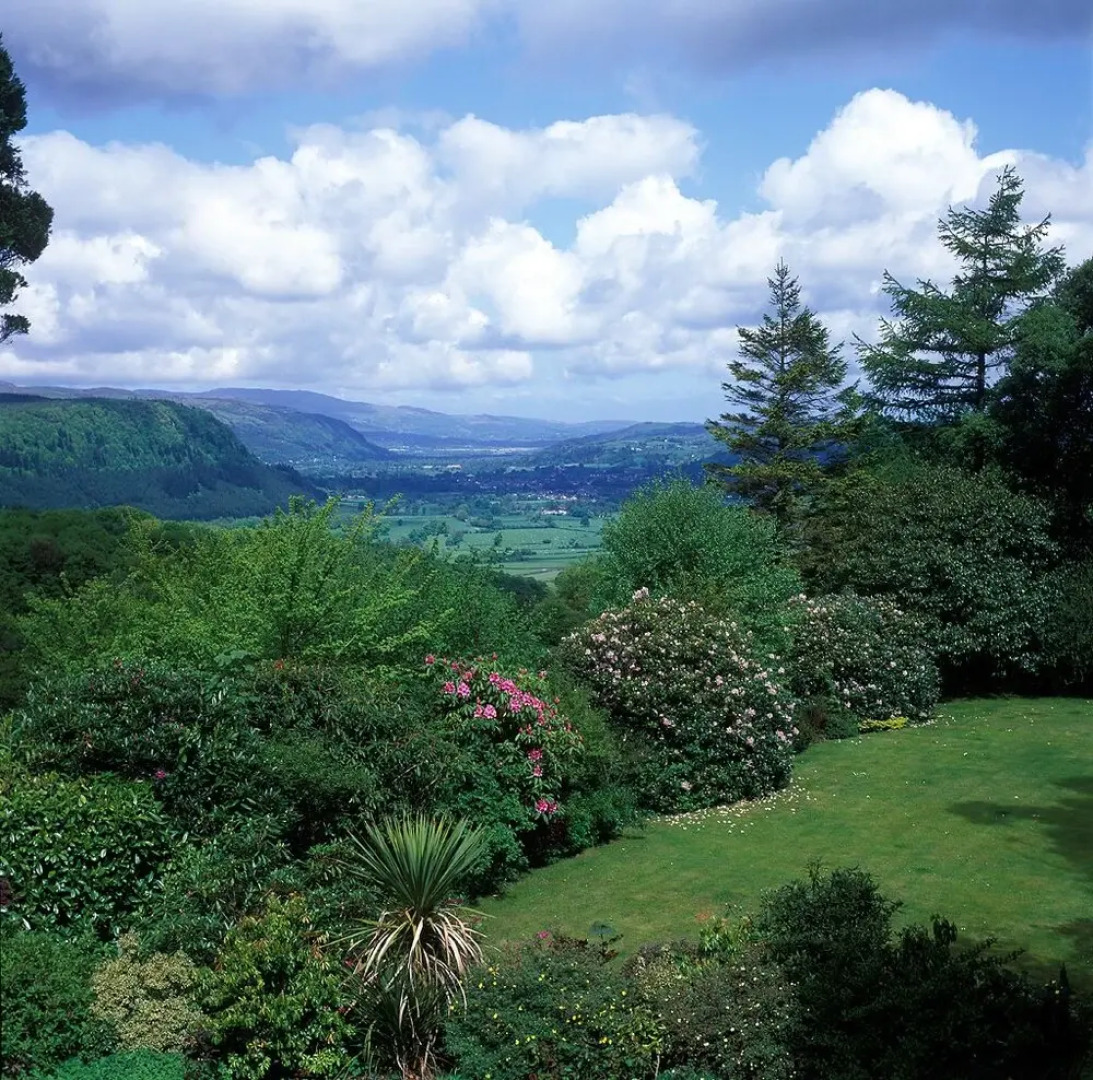 Tan-y-Foel Country Guest House