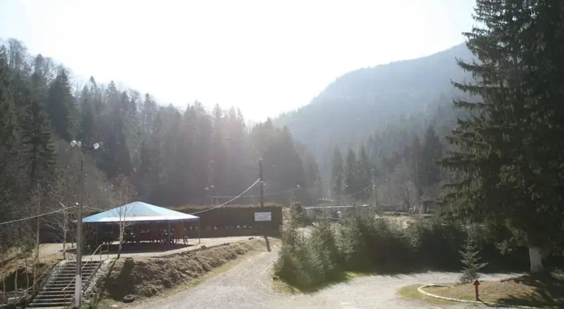 Pension Floarea Reginei