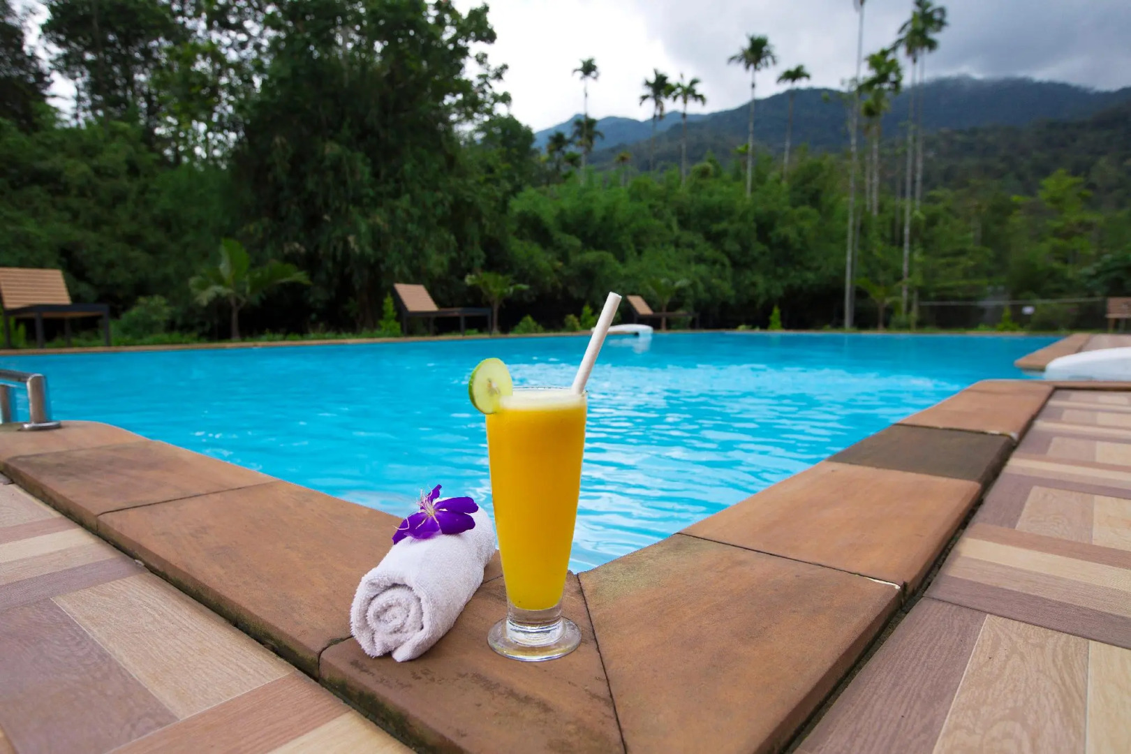 Vythiri Holiday Resorts