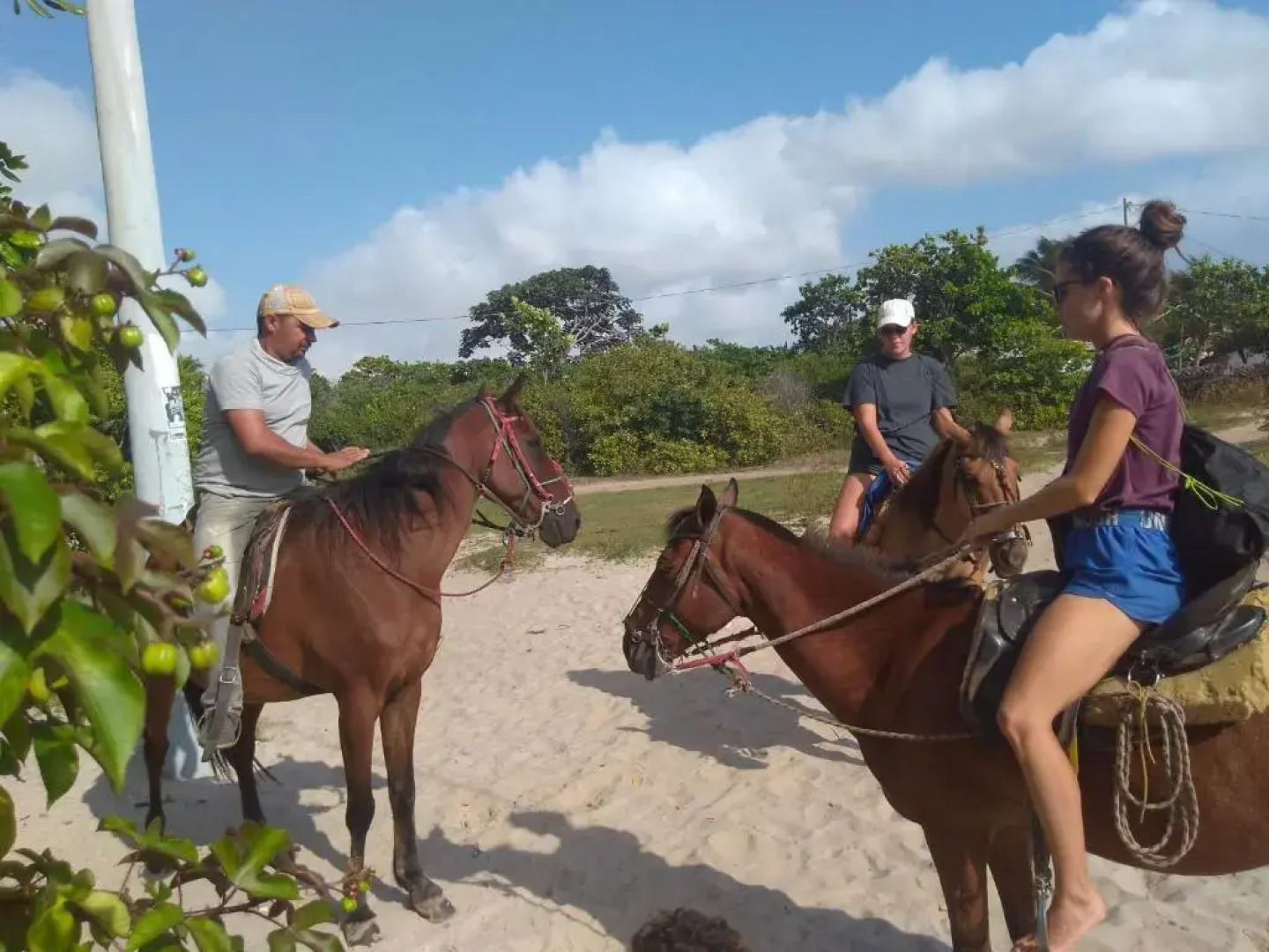 HOSPEDARIA PINGO de ouro