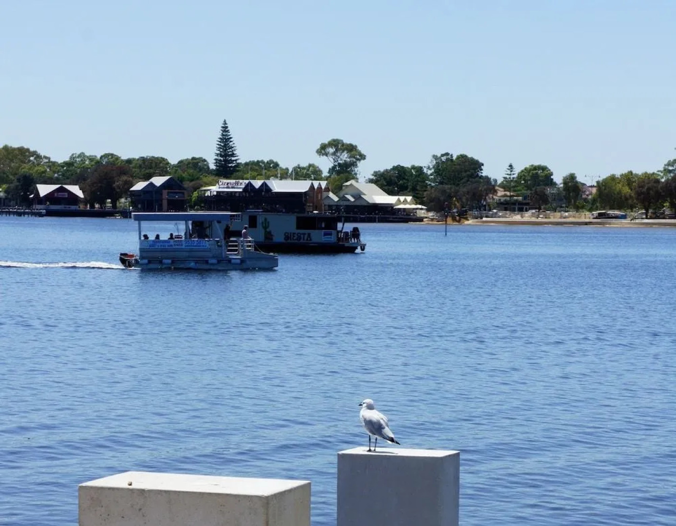 Beach Front The Wedge - Adults Only