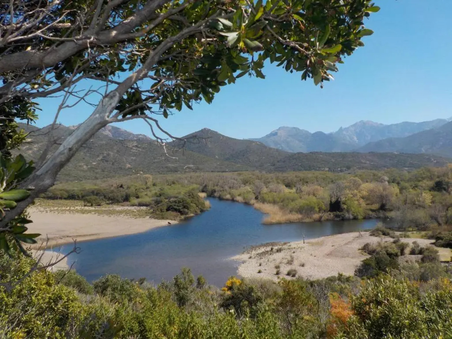 Appartements Candella