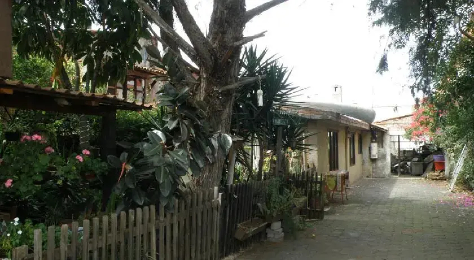 The House Near Downtown