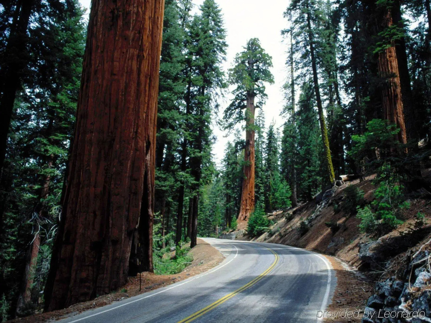 Holiday Inn Express Hotel & Suites Fresno South by IHG