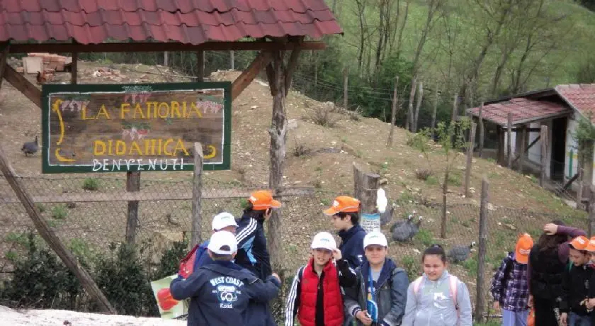 Tenuta Valle Delle Ginestre