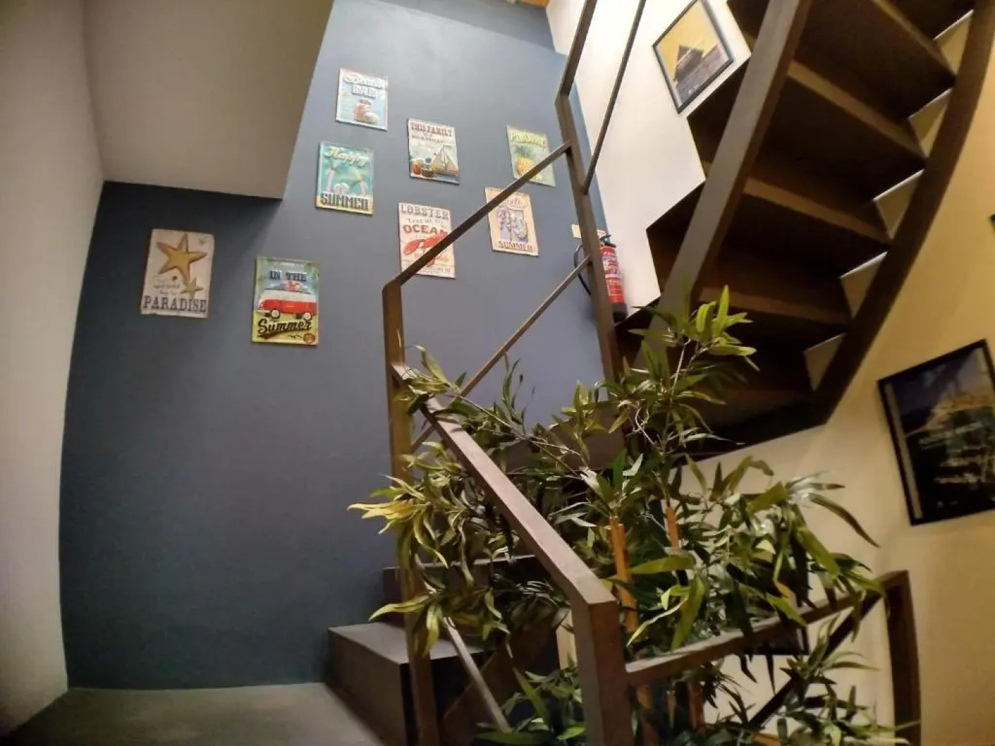 Sardines and Friends