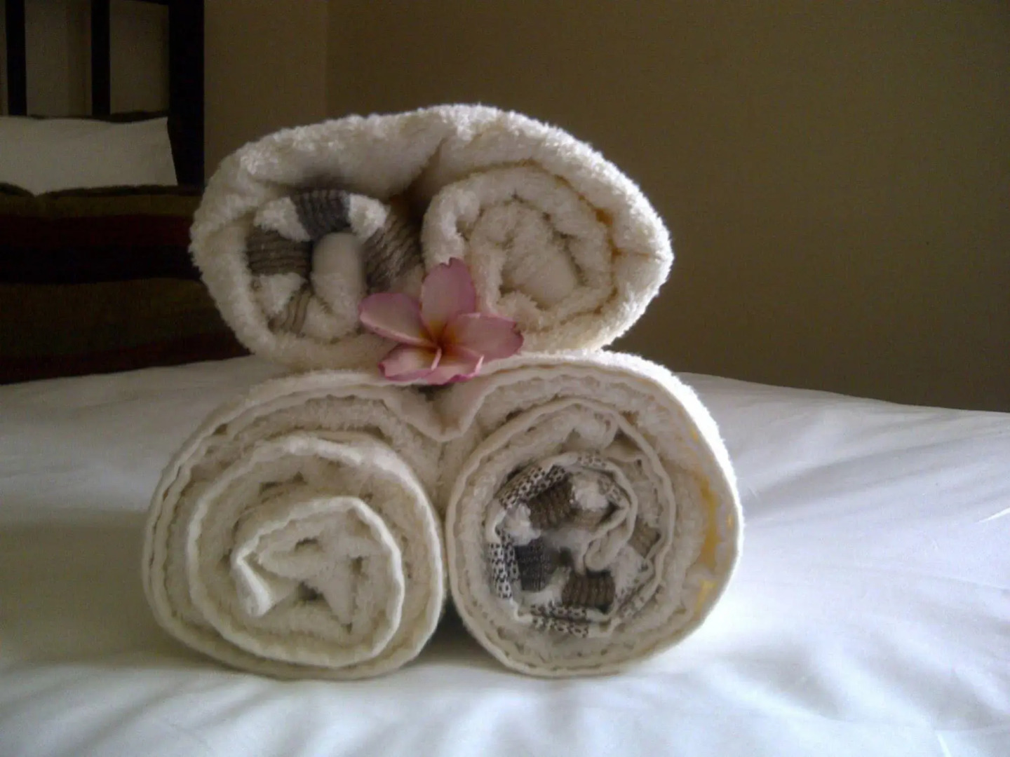 Tsumeb Backpackers & Safari