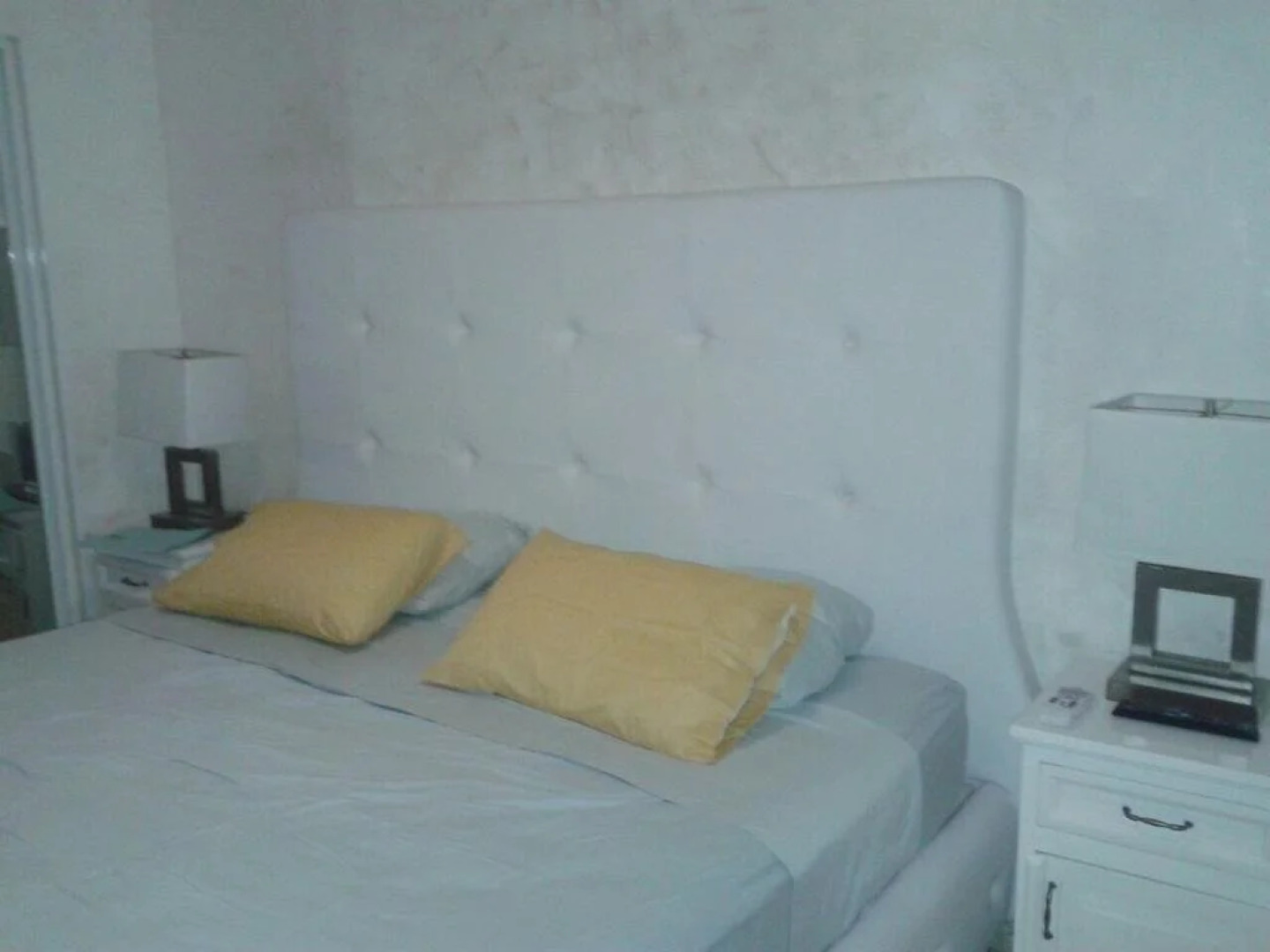 Happy Smile by the Dolphins