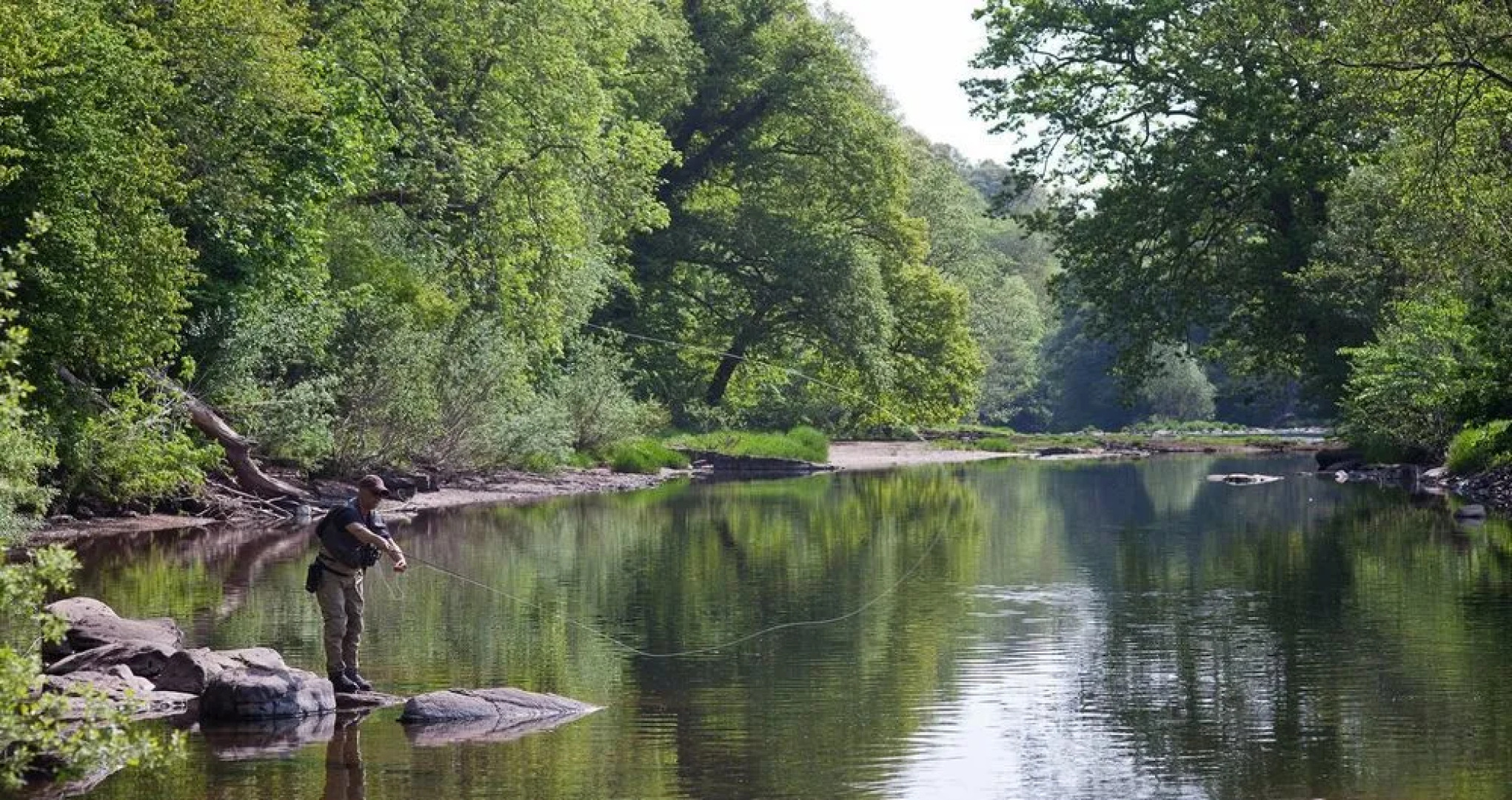 Gliffaes Country House Hotel