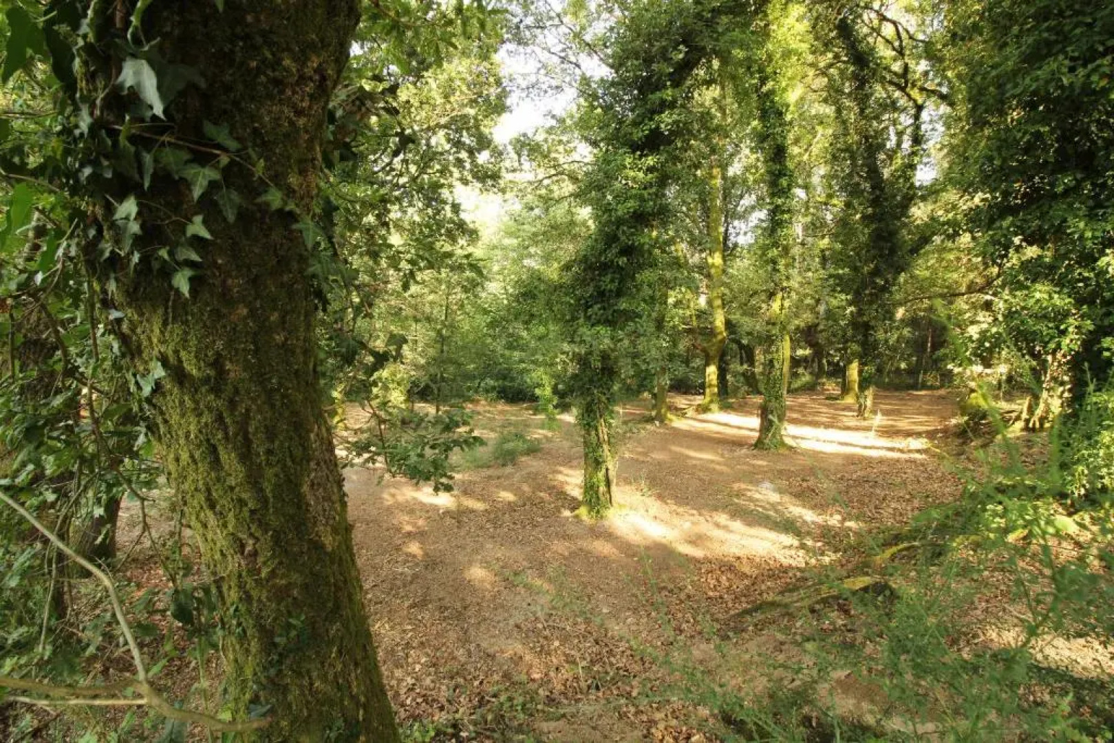 Quinta d'Areda Wine&Pool Experience