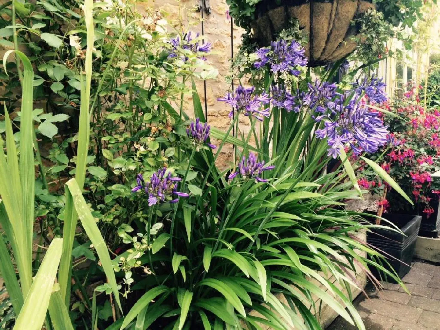 The Ormond At Tetbury