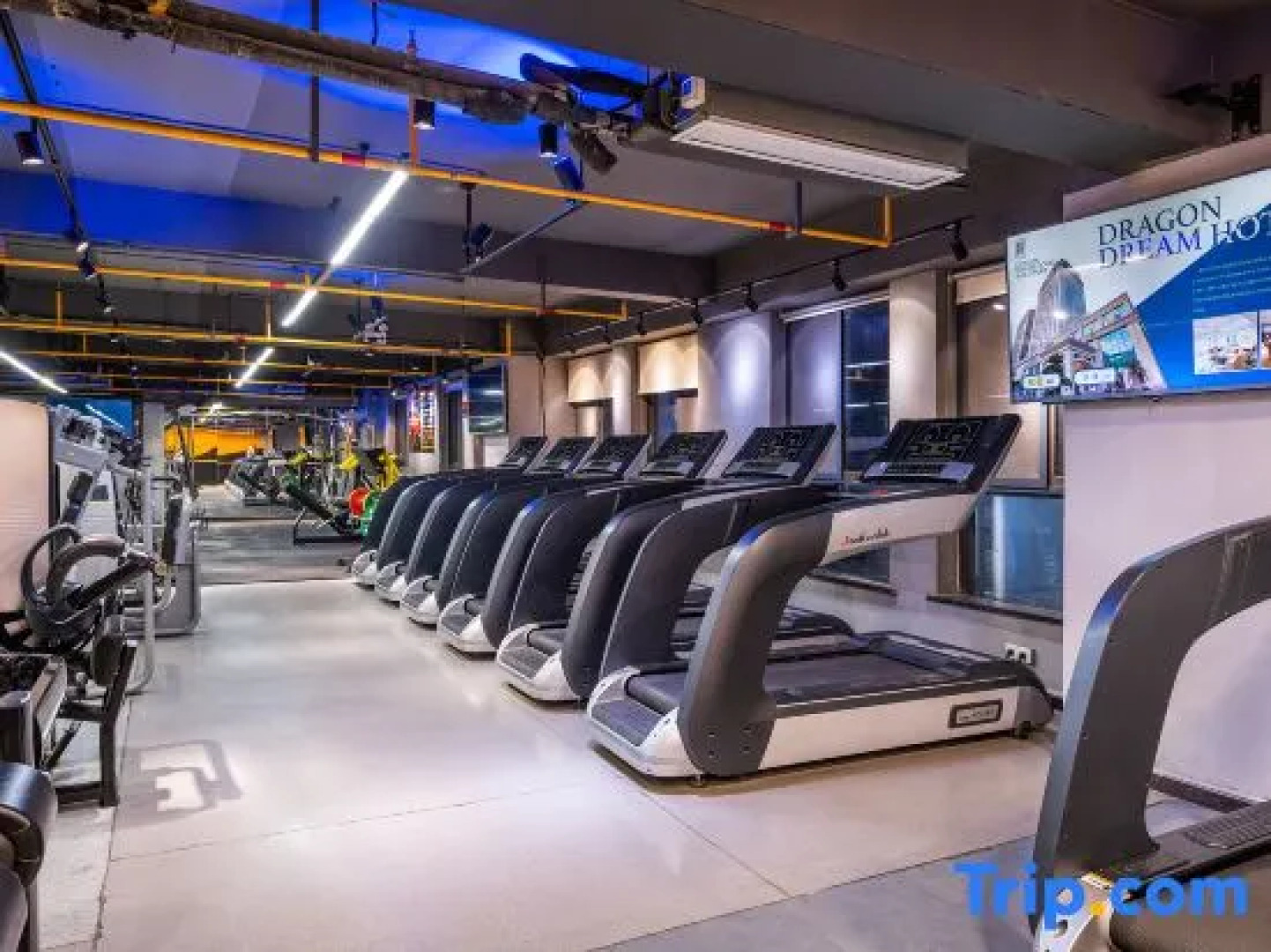 Dragon Dream Hiotel