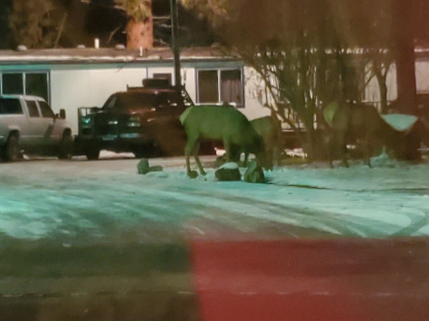 Little River Motel St  Regis