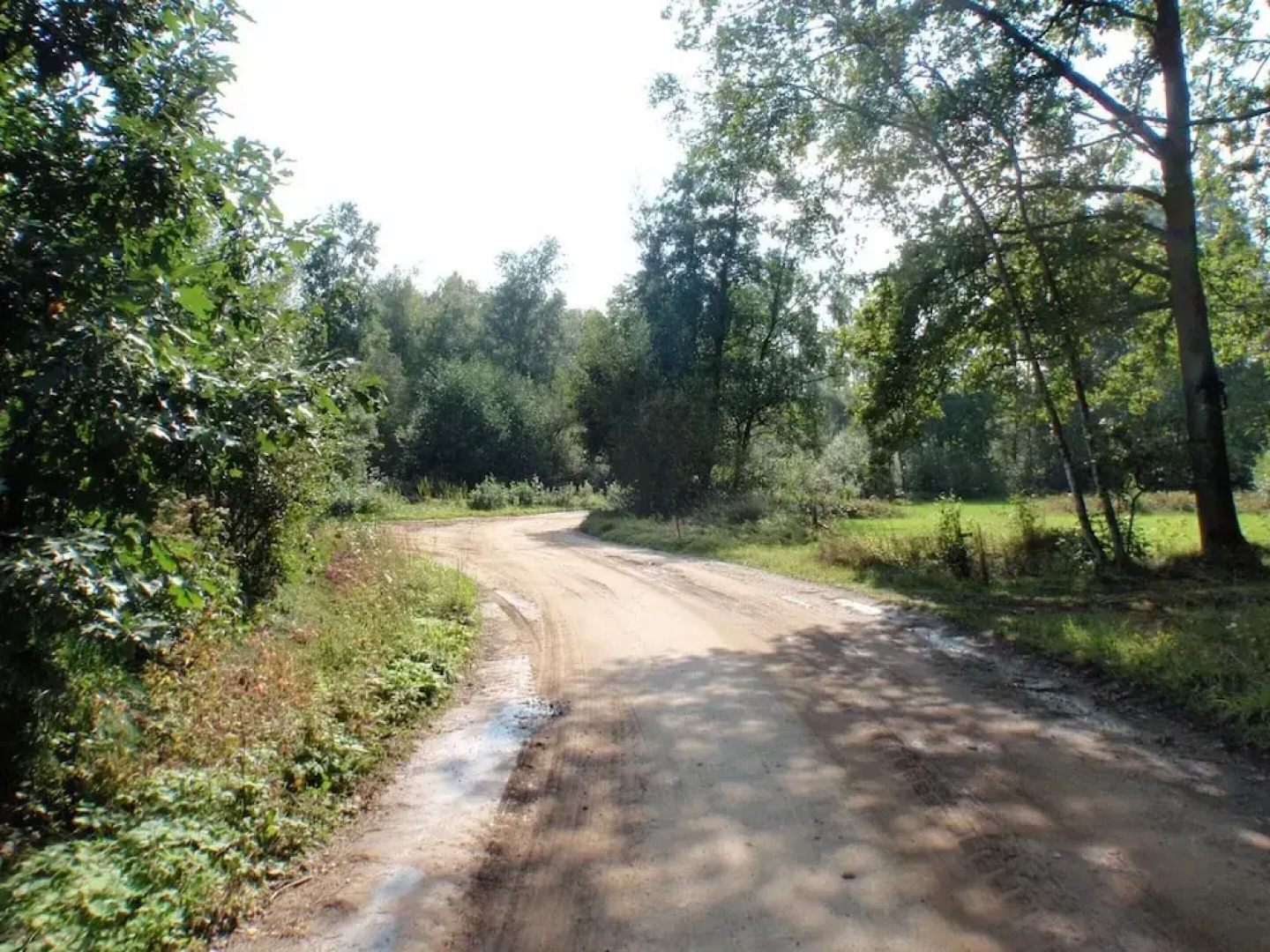 Spacious 6-person Chalet in Antwerp