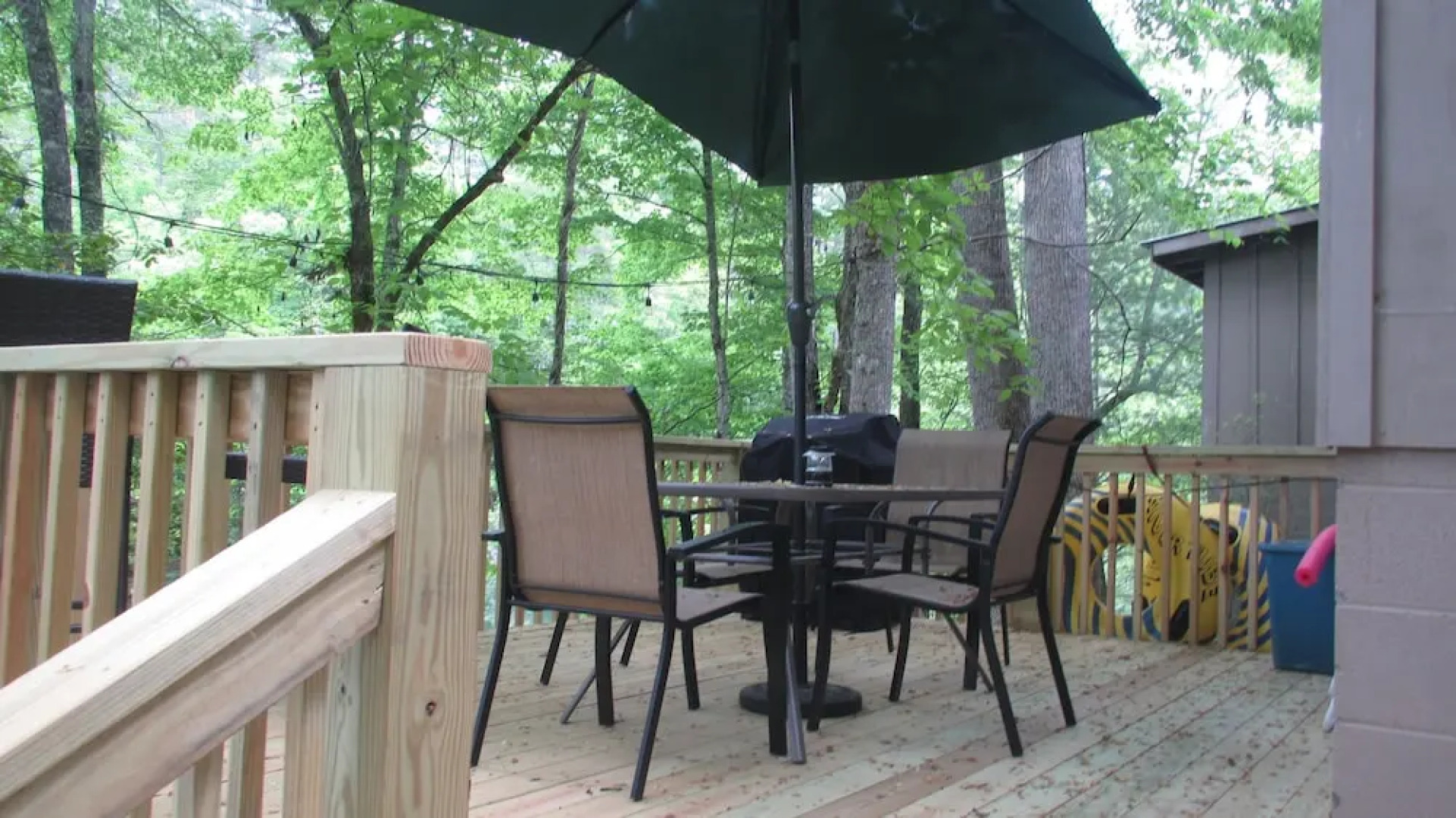 Lake Santeetlah Log Cabin