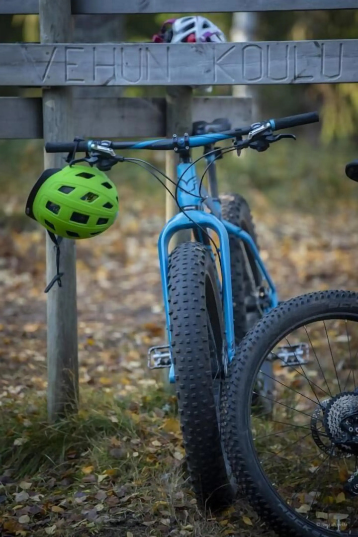 Hotelli Mesikämmen Oy