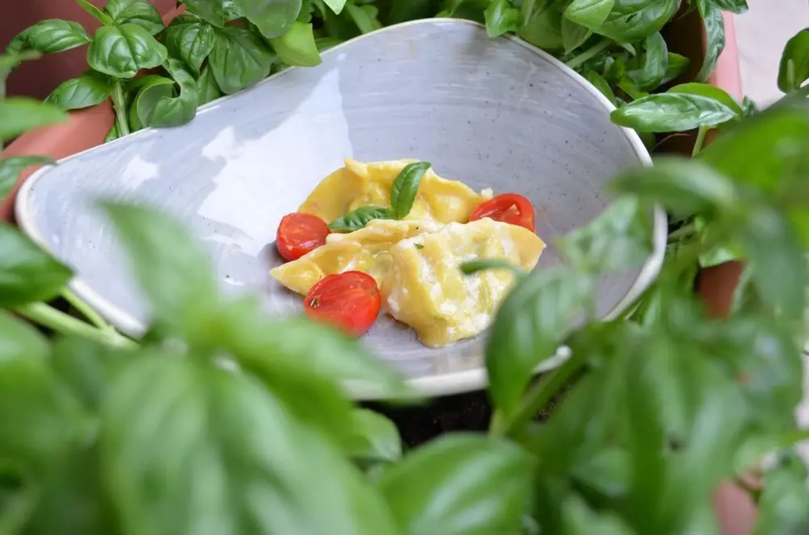 Latemar Hotel Suites & Spa