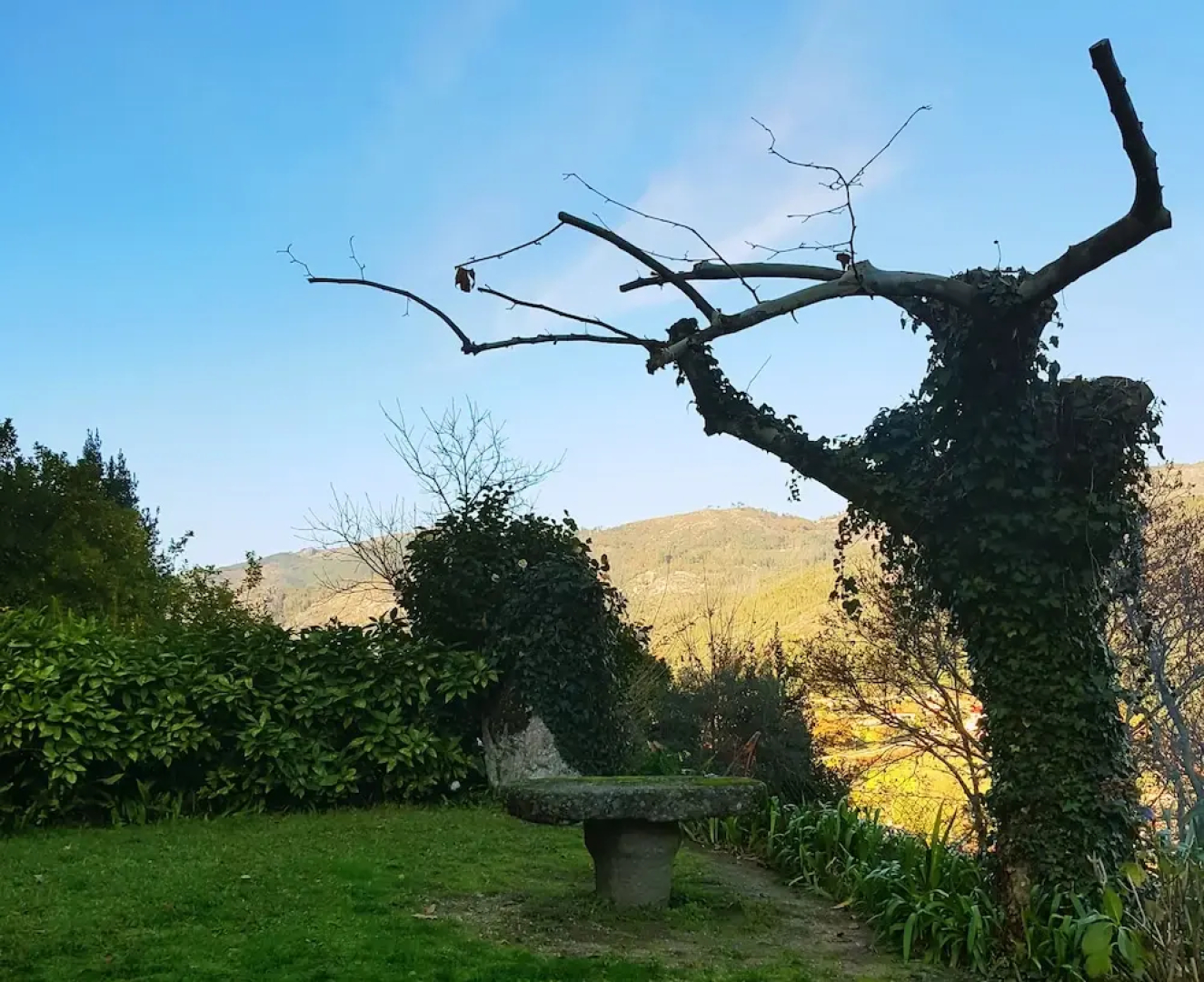 Quinta Do Sorrilhal