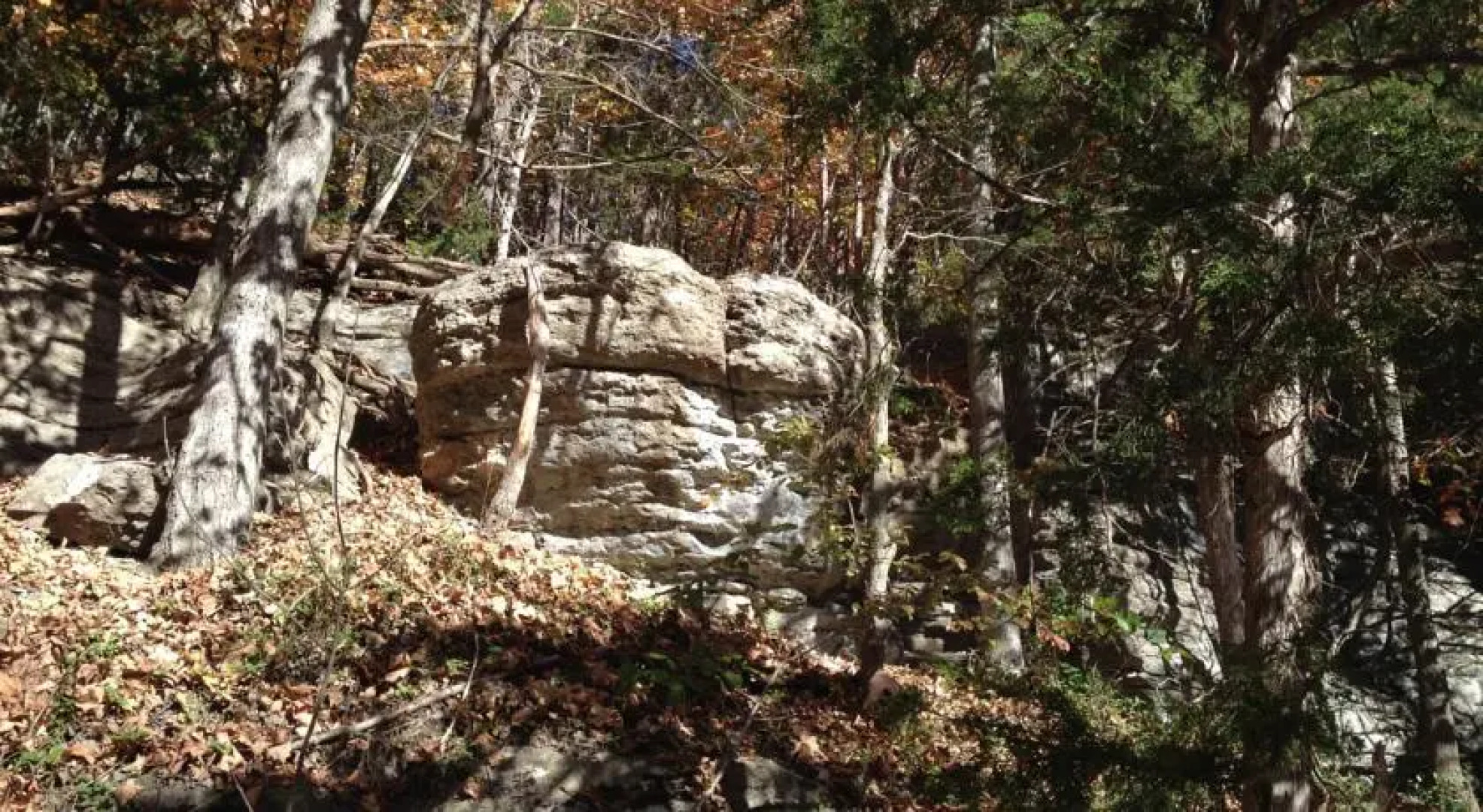 Livingston Junction Cabooses and Cabins