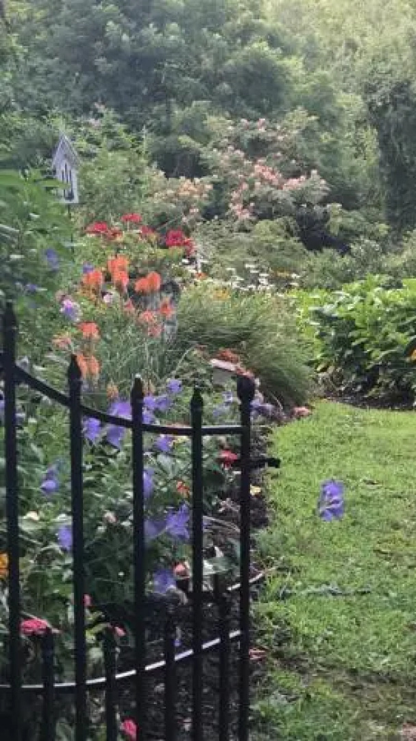 The Renwick Clifton House