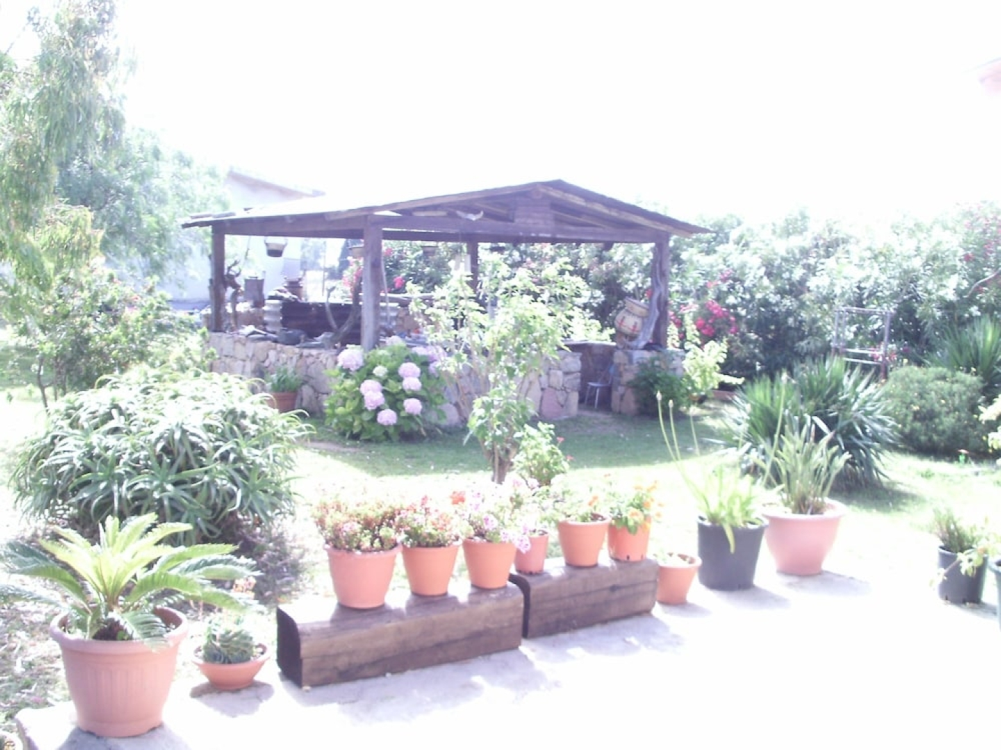 Agriturismo Su Pinnatu