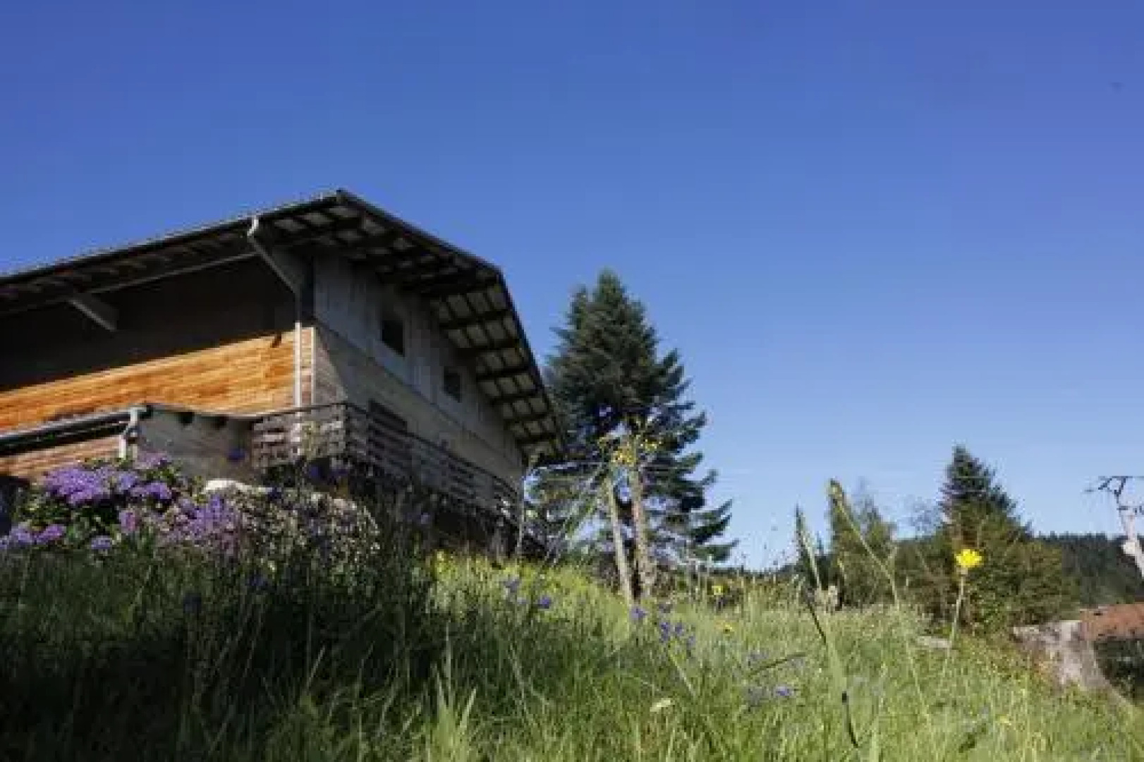 Le chalet de Valentine